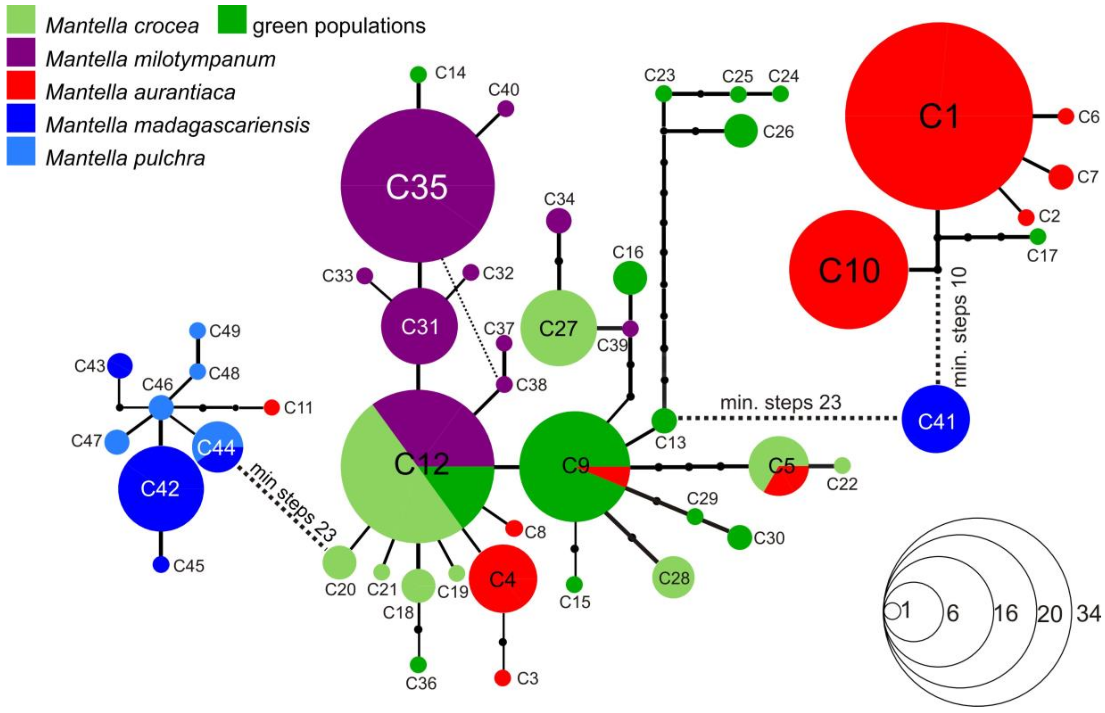 Genes 10 00317 g003