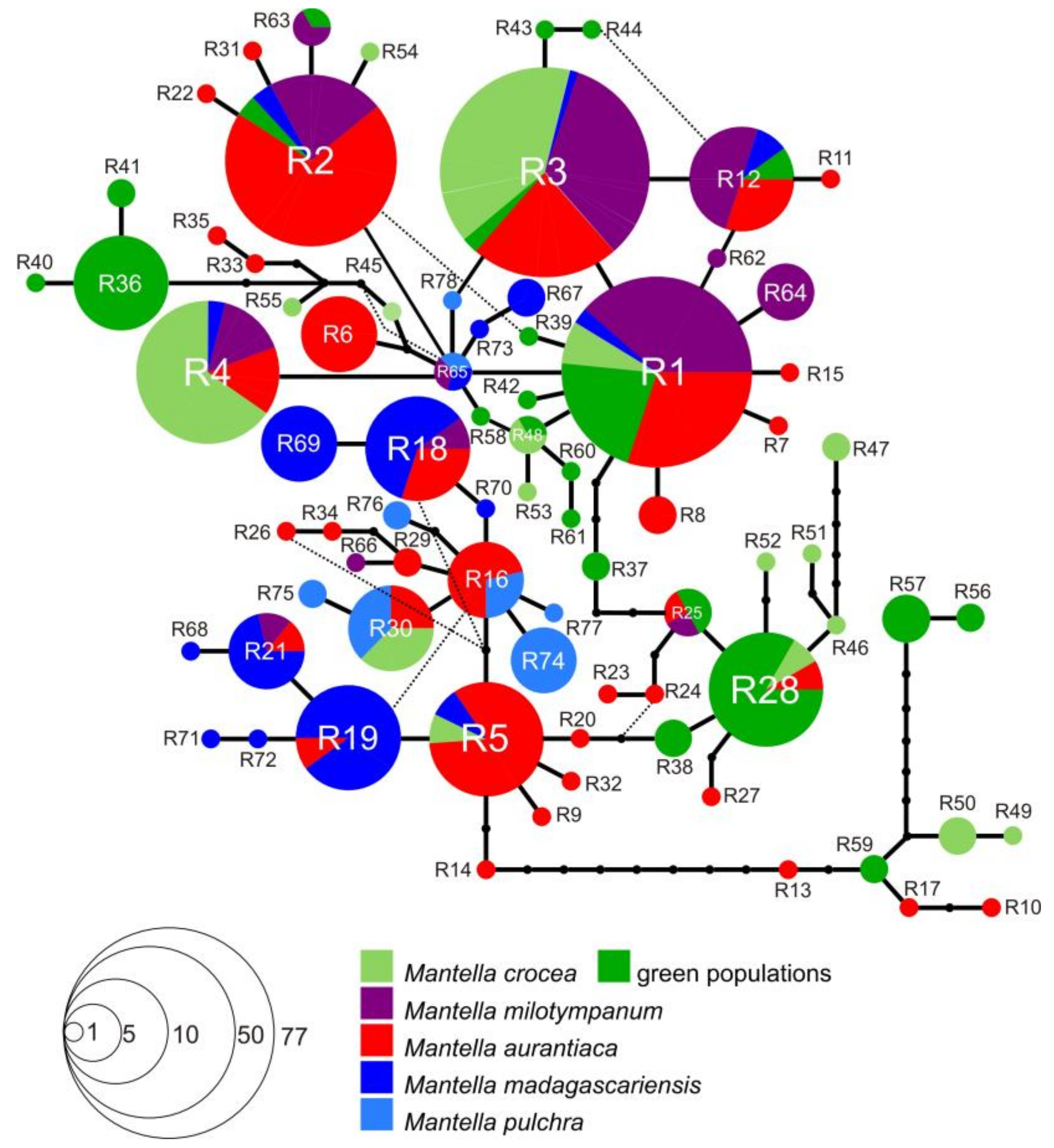 Genes 10 00317 g004