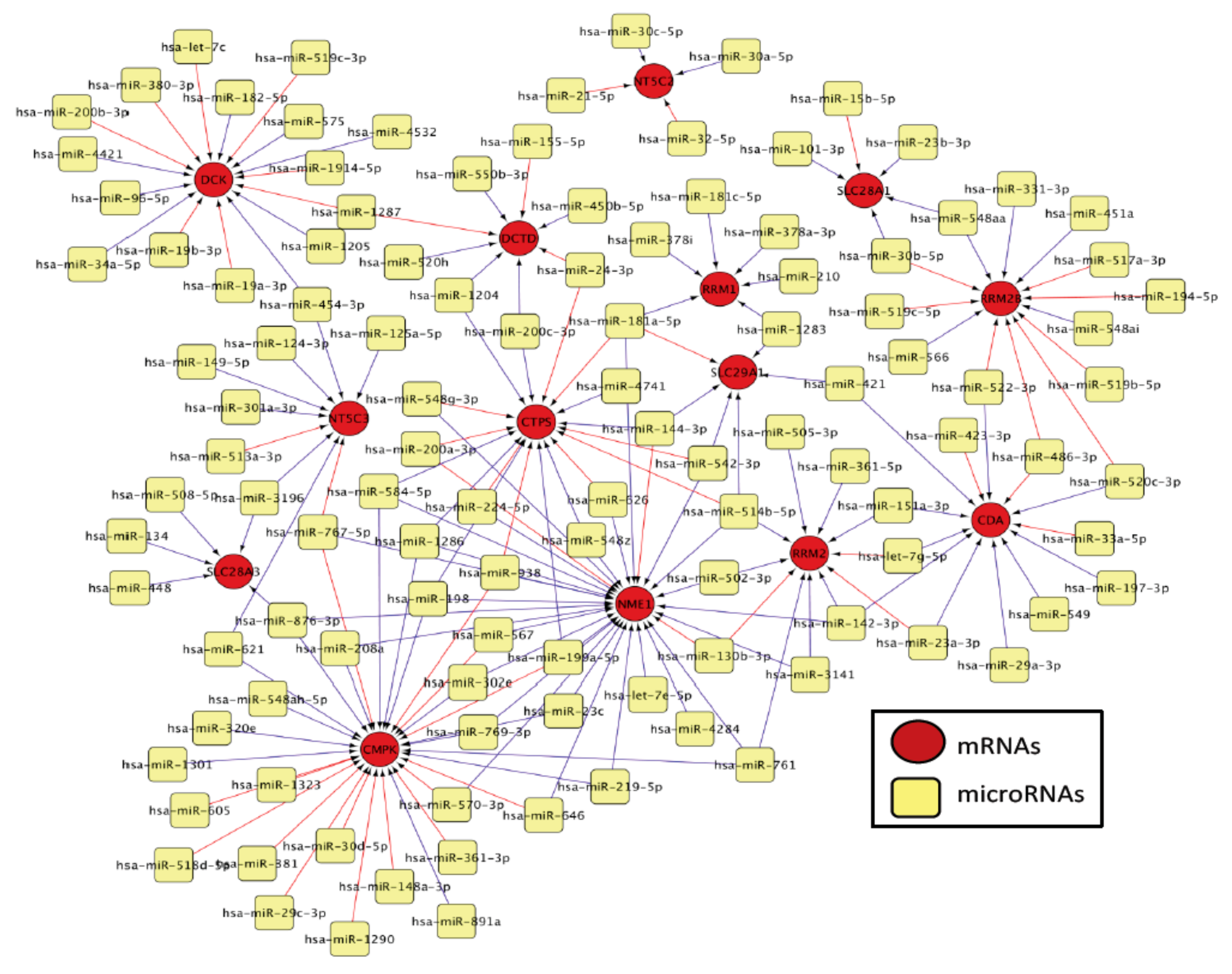 Genes 10 00319 g002 Genes 10 00319 g002