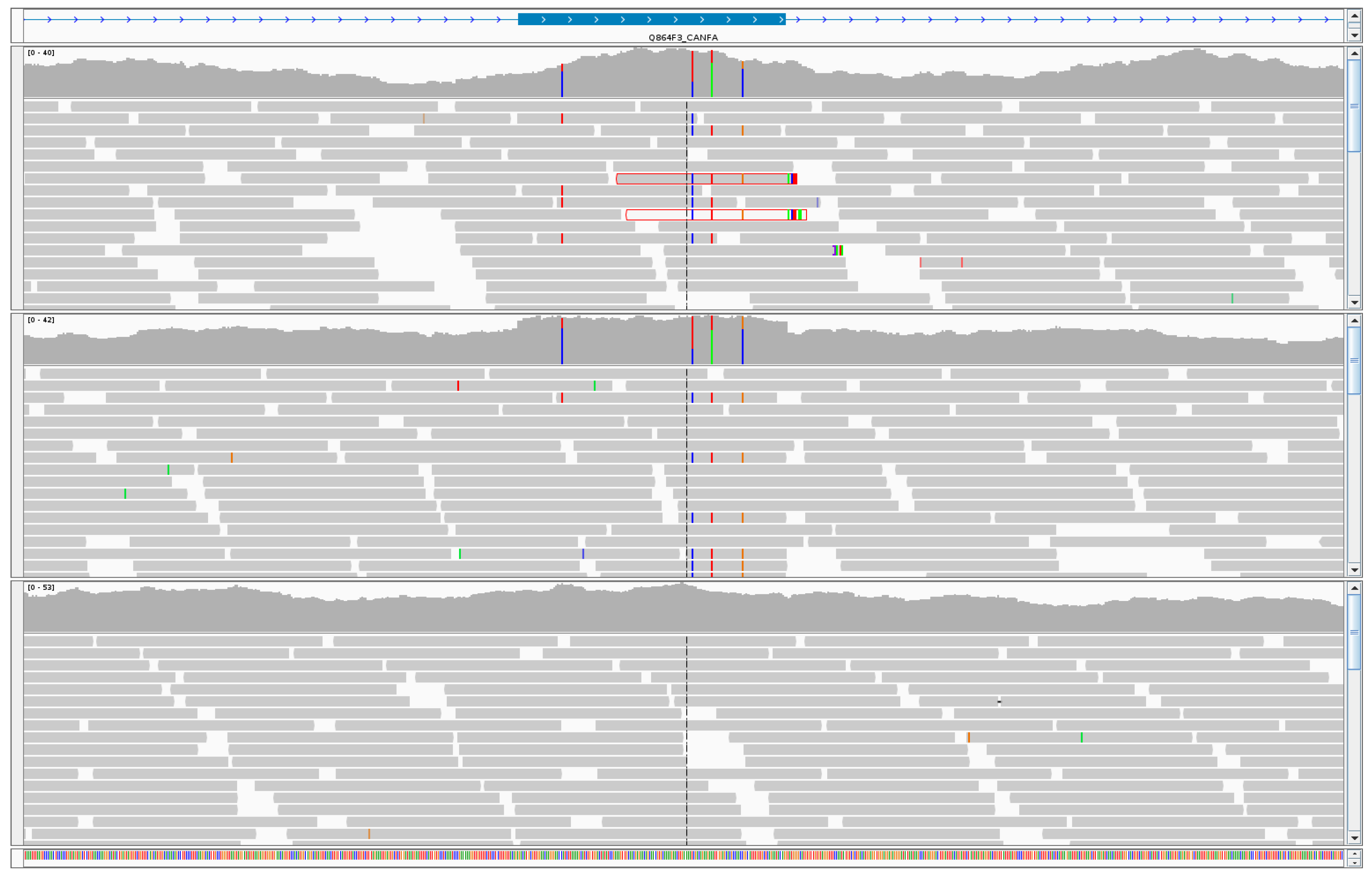 Genes 10 00320 g002 Genes 10 00320 g002
