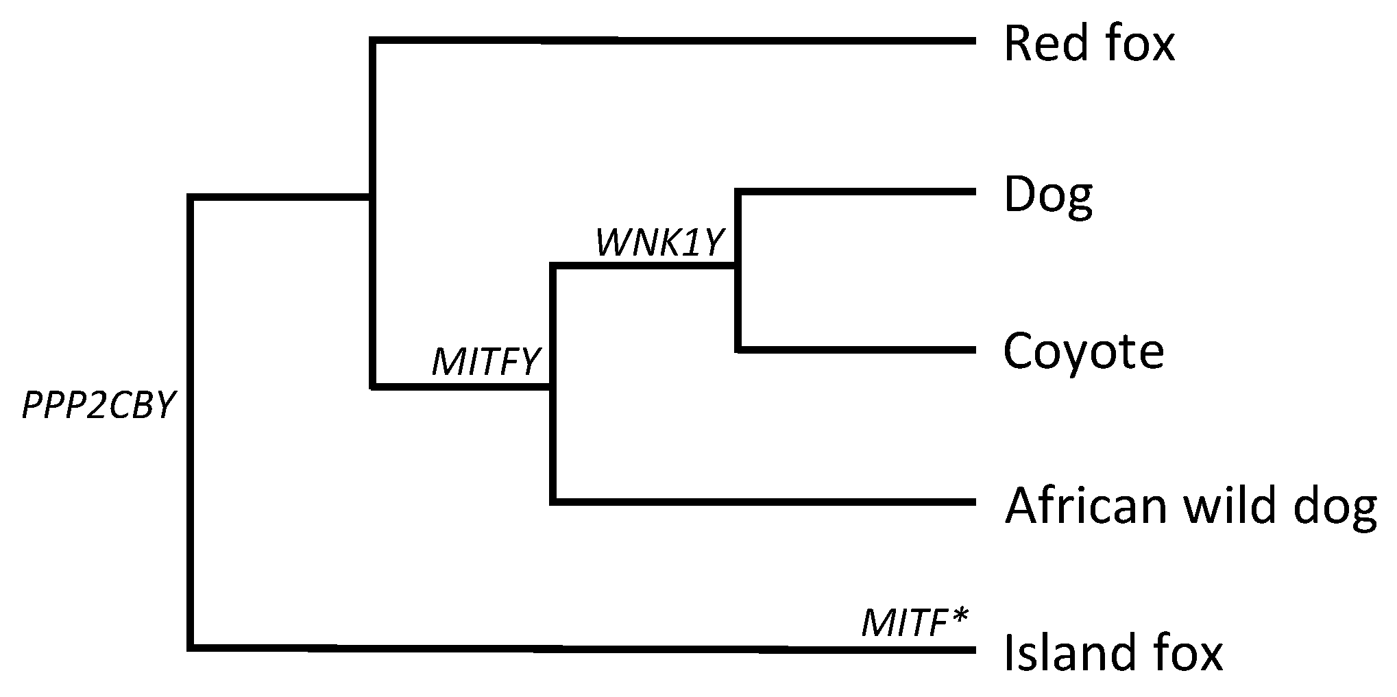 Genes 10 00320 g005 Genes 10 00320 g005