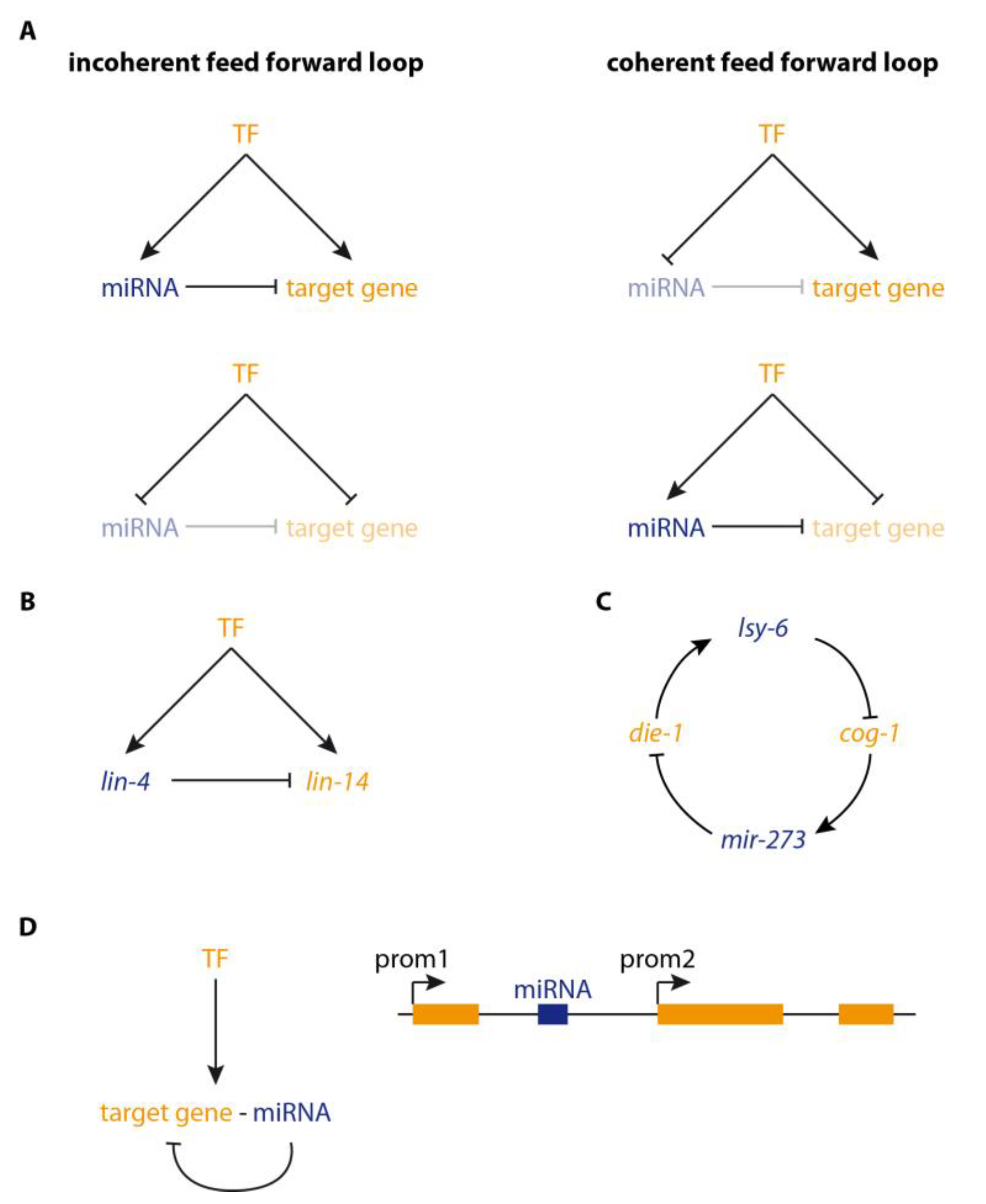 Genes 10 00321 g001