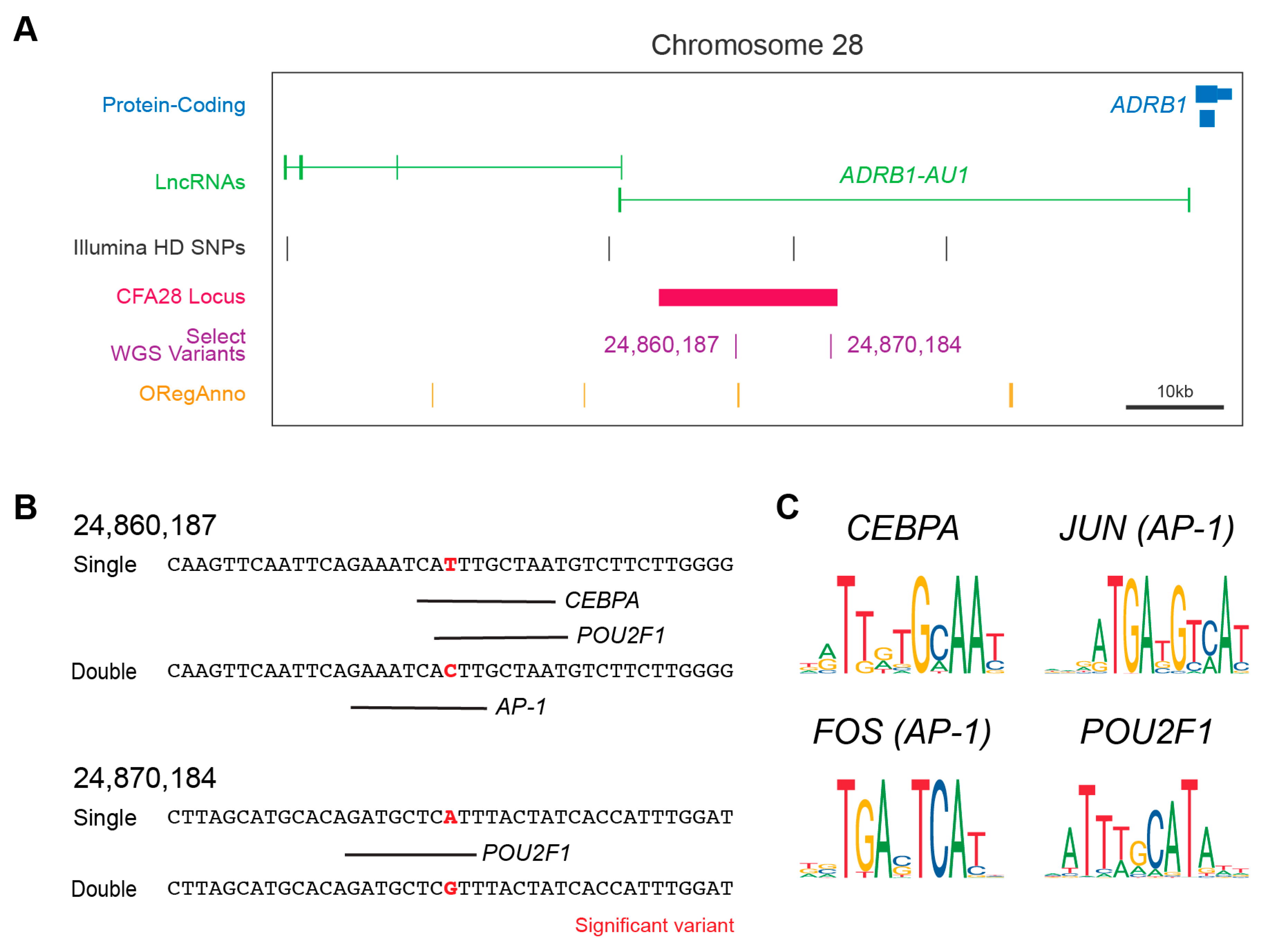Genes 10 00323 g002 550