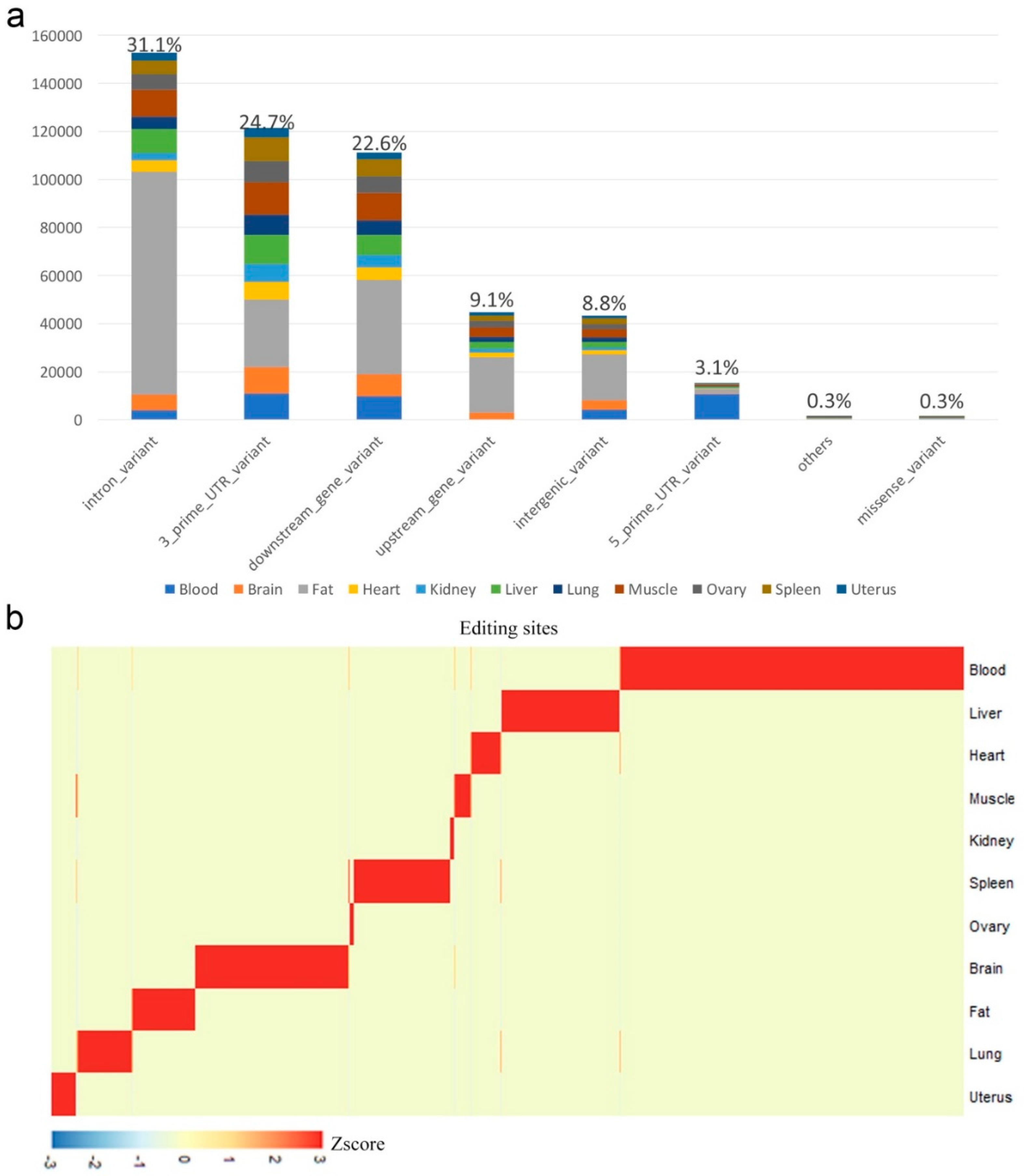 Genes 10 00327 g002 Genes 10 00327 g002