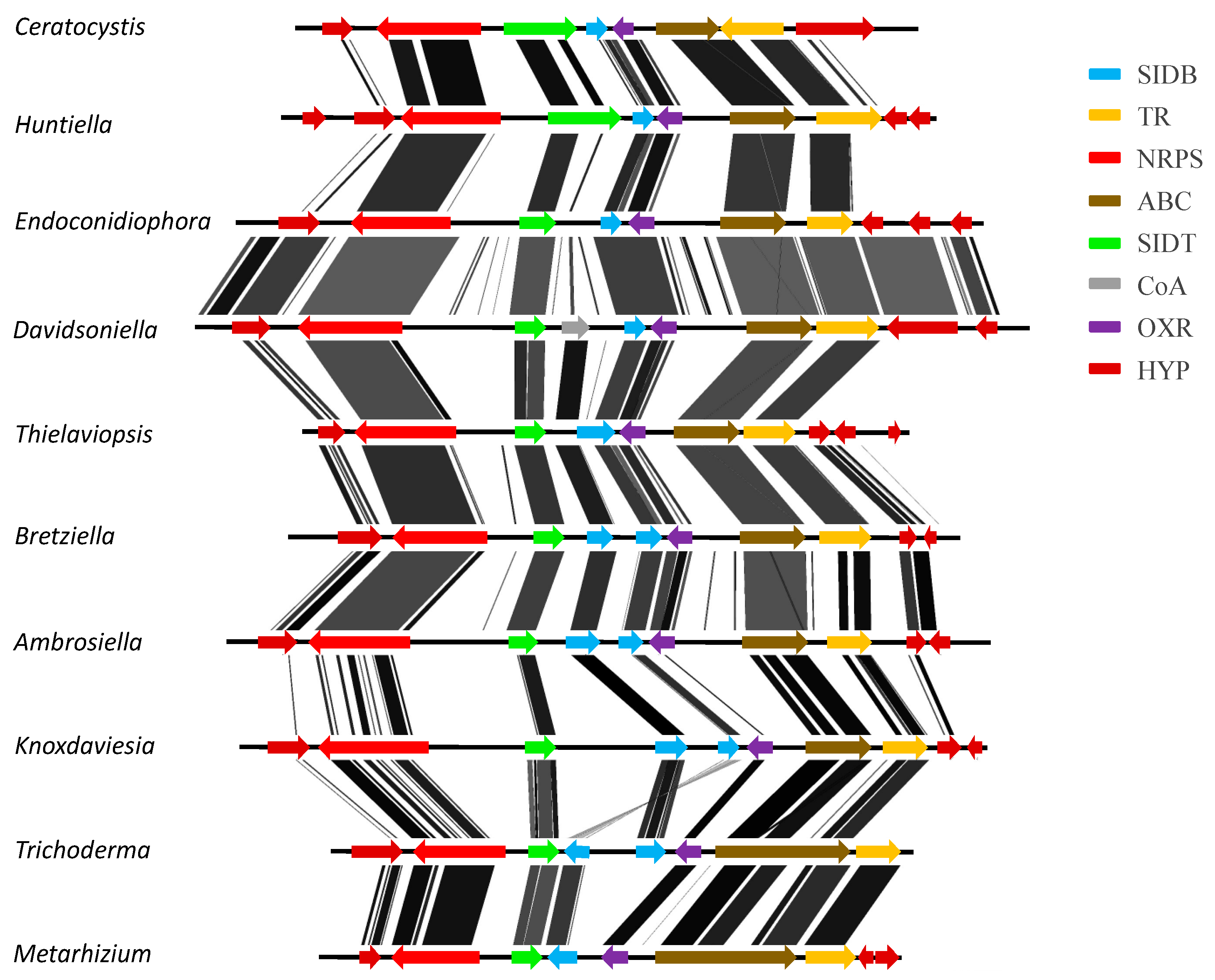 Genes 10 00328 g002