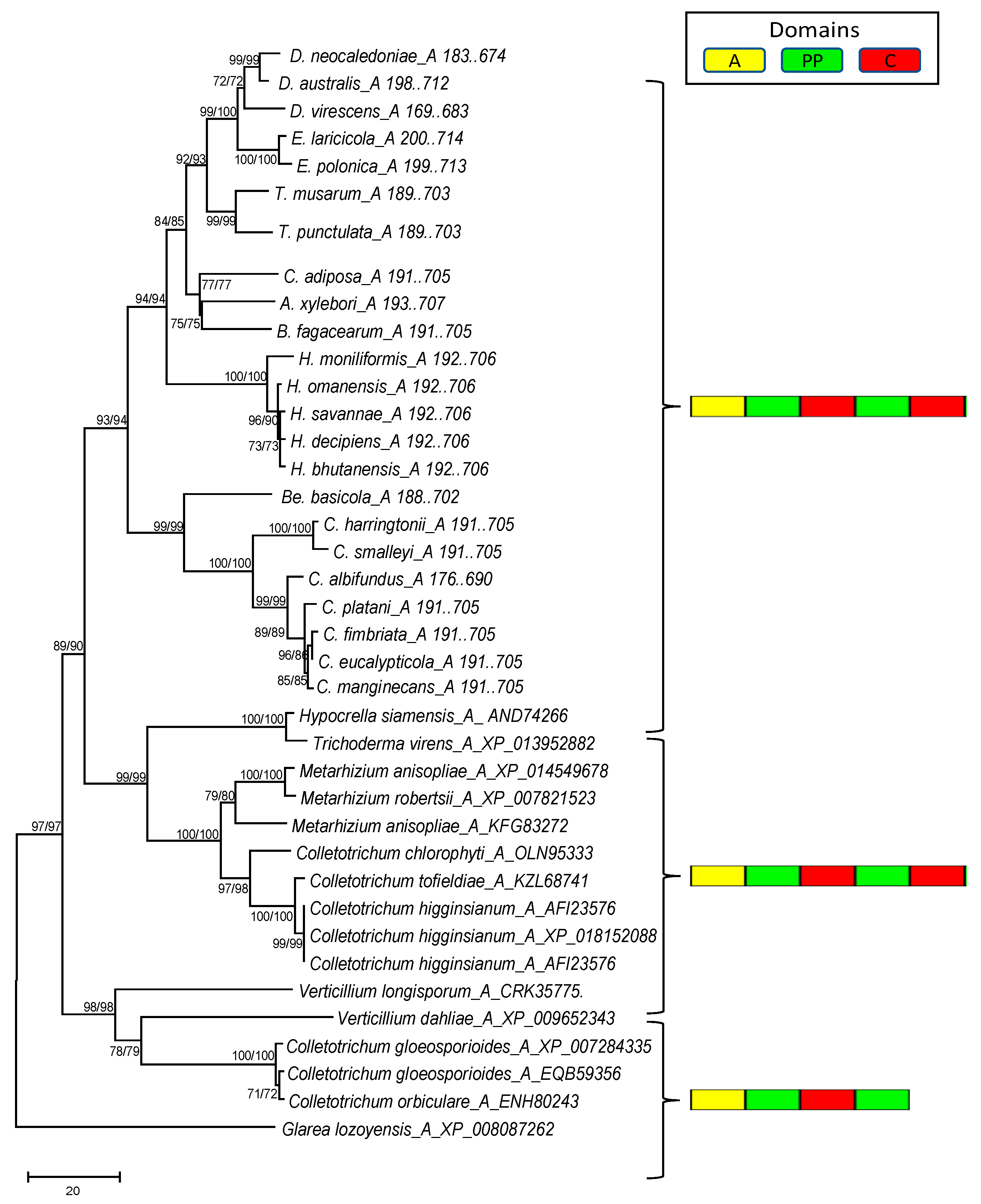 Genes 10 00328 g004