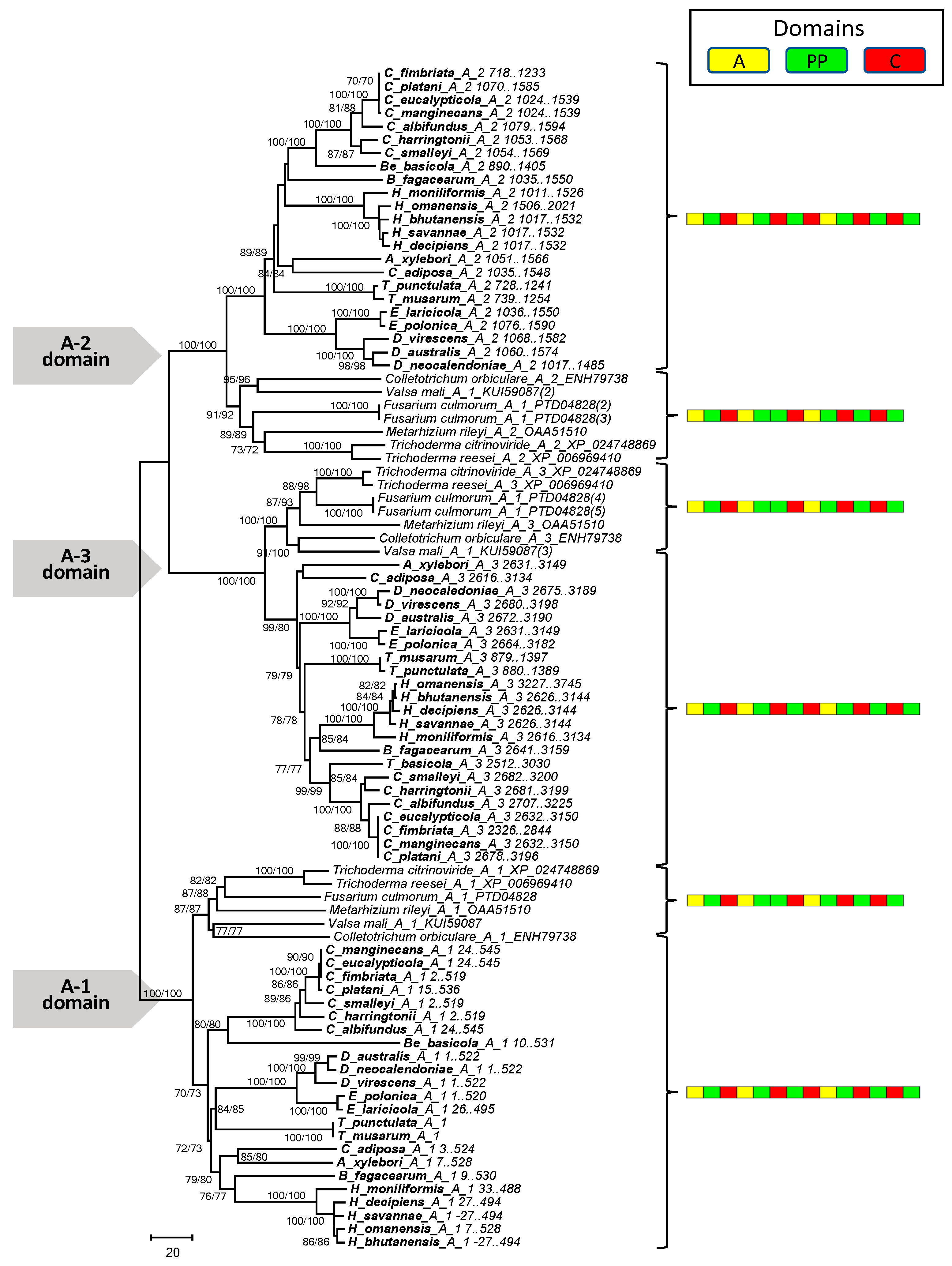 Genes 10 00328 g005