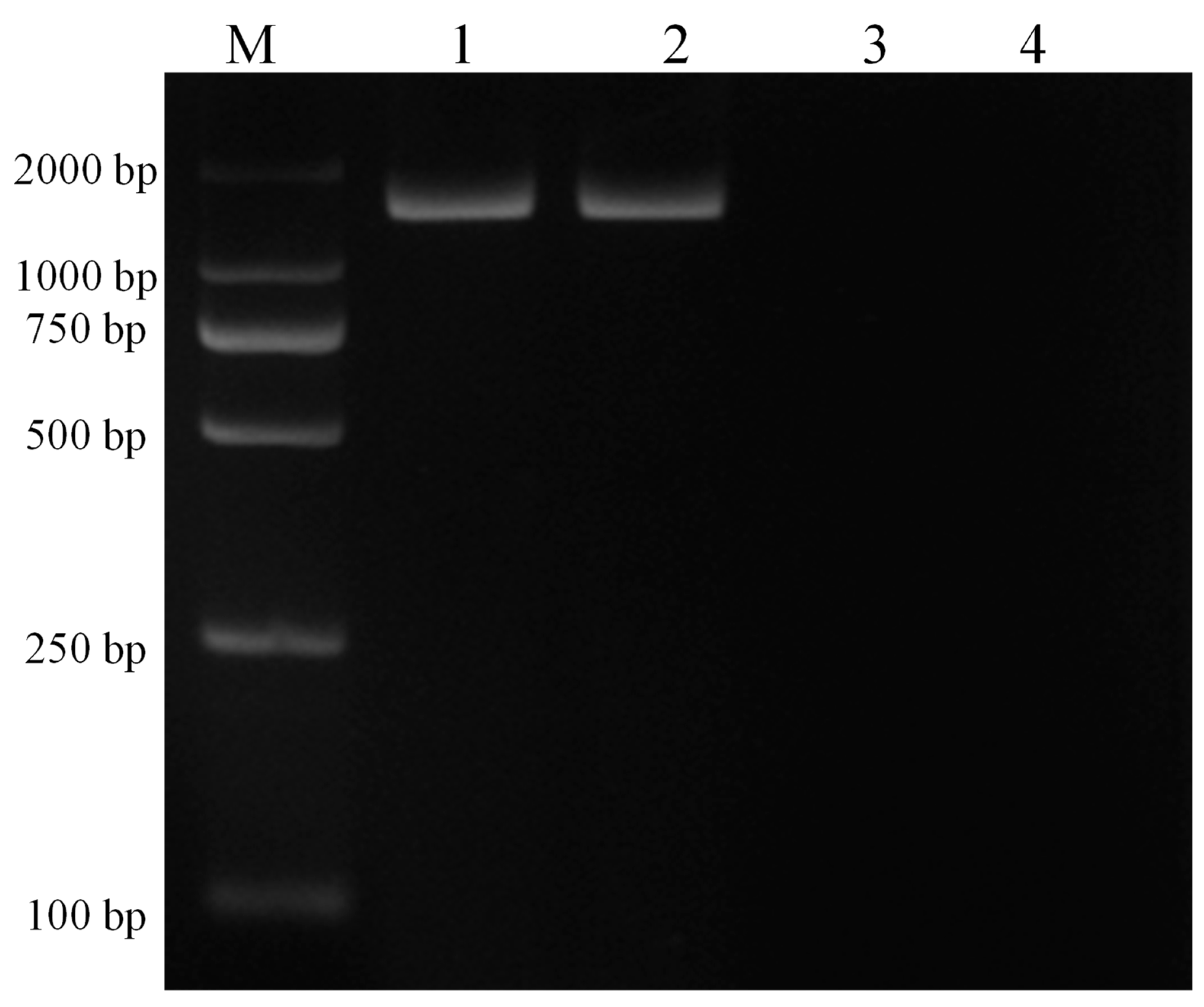 Genes 10 00329 g003 Genes 10 00329 g003