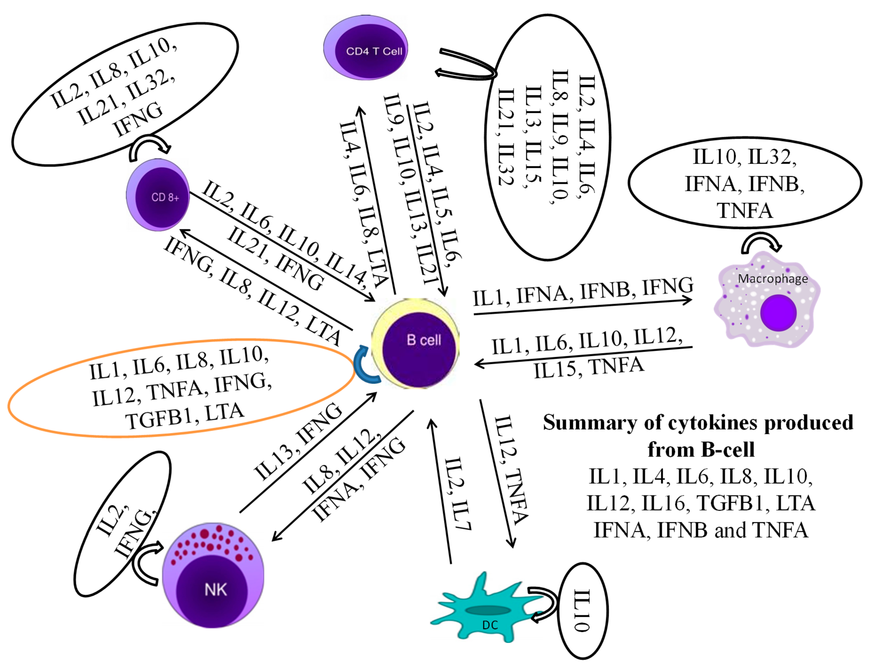 Genes 10 00329 g010 Genes 10 00329 g010