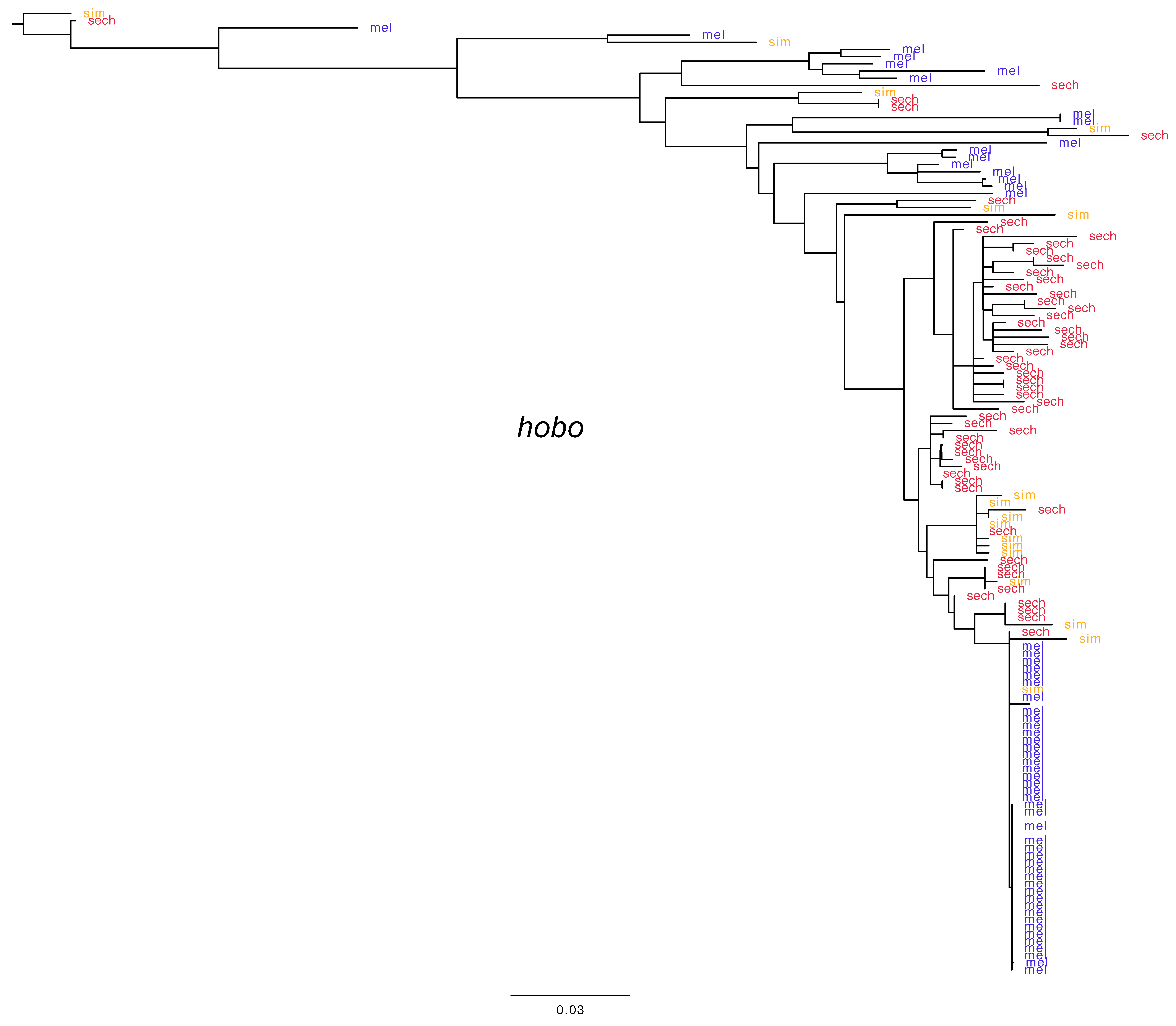 Genes 10 00336 g002