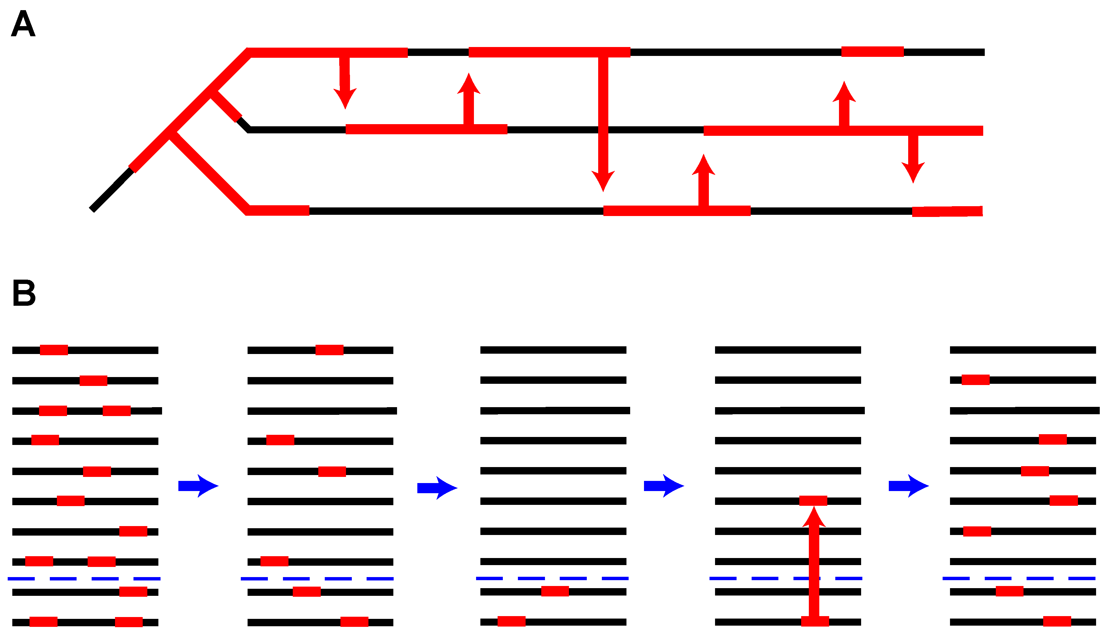 Genes 10 00336 g004