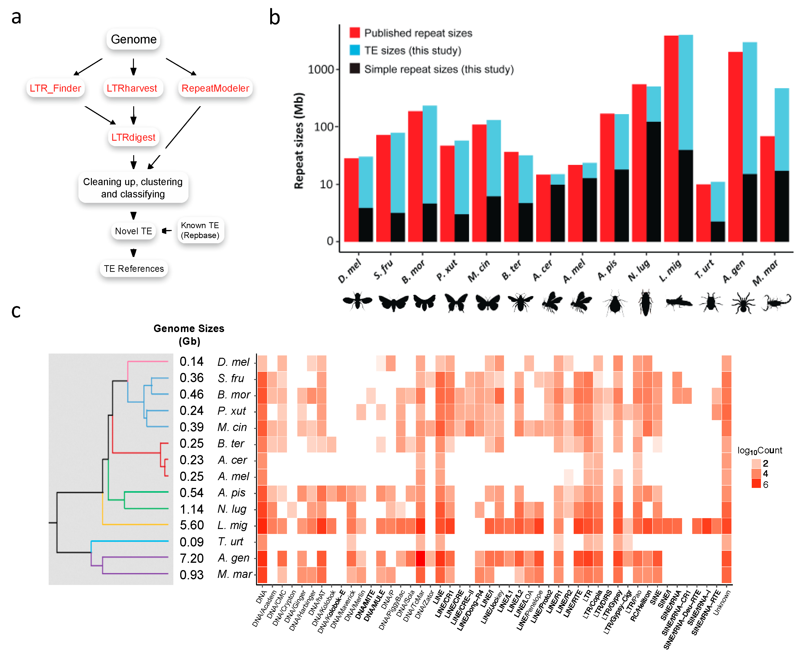 Genes 10 00338 g001