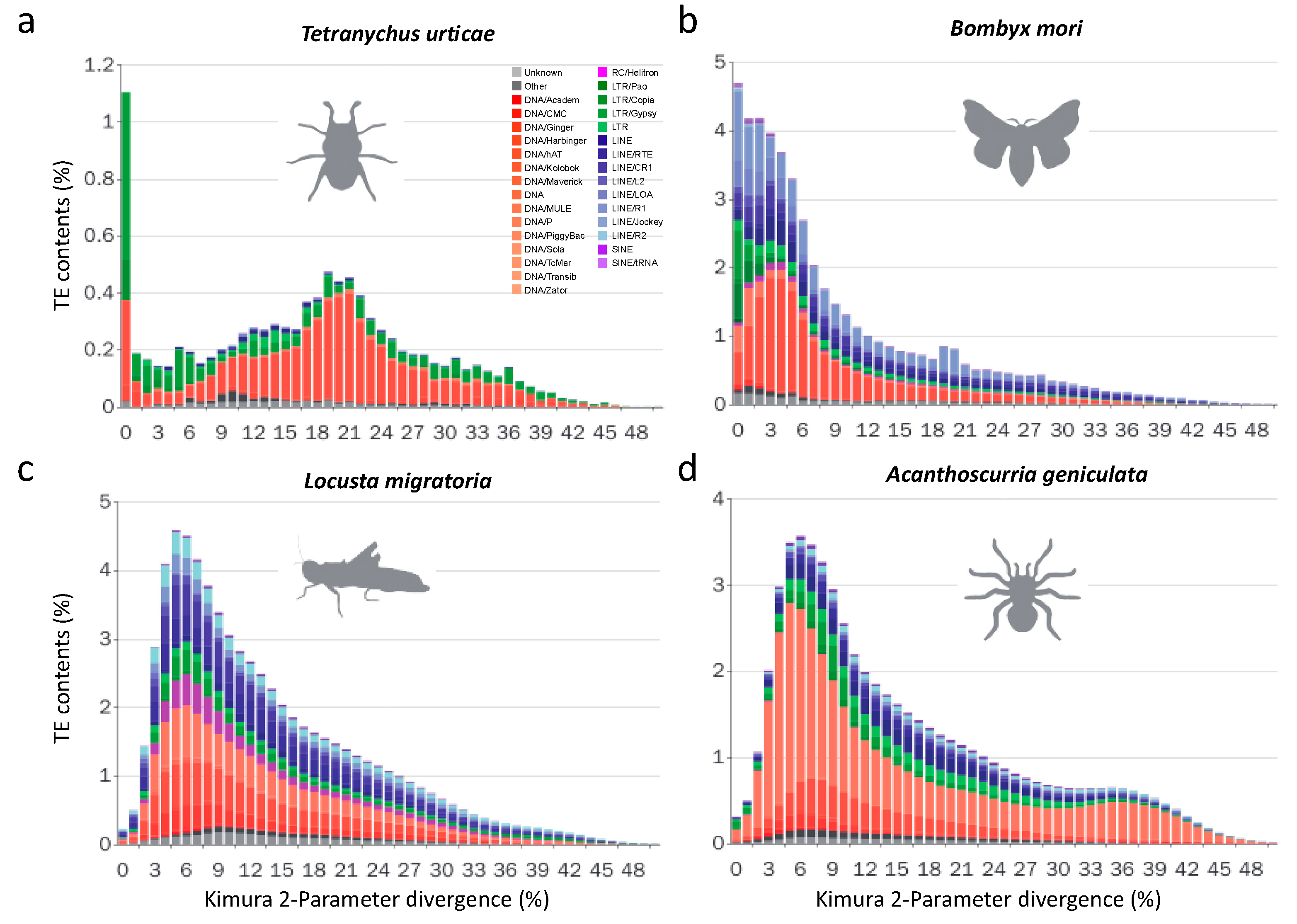Genes 10 00338 g002