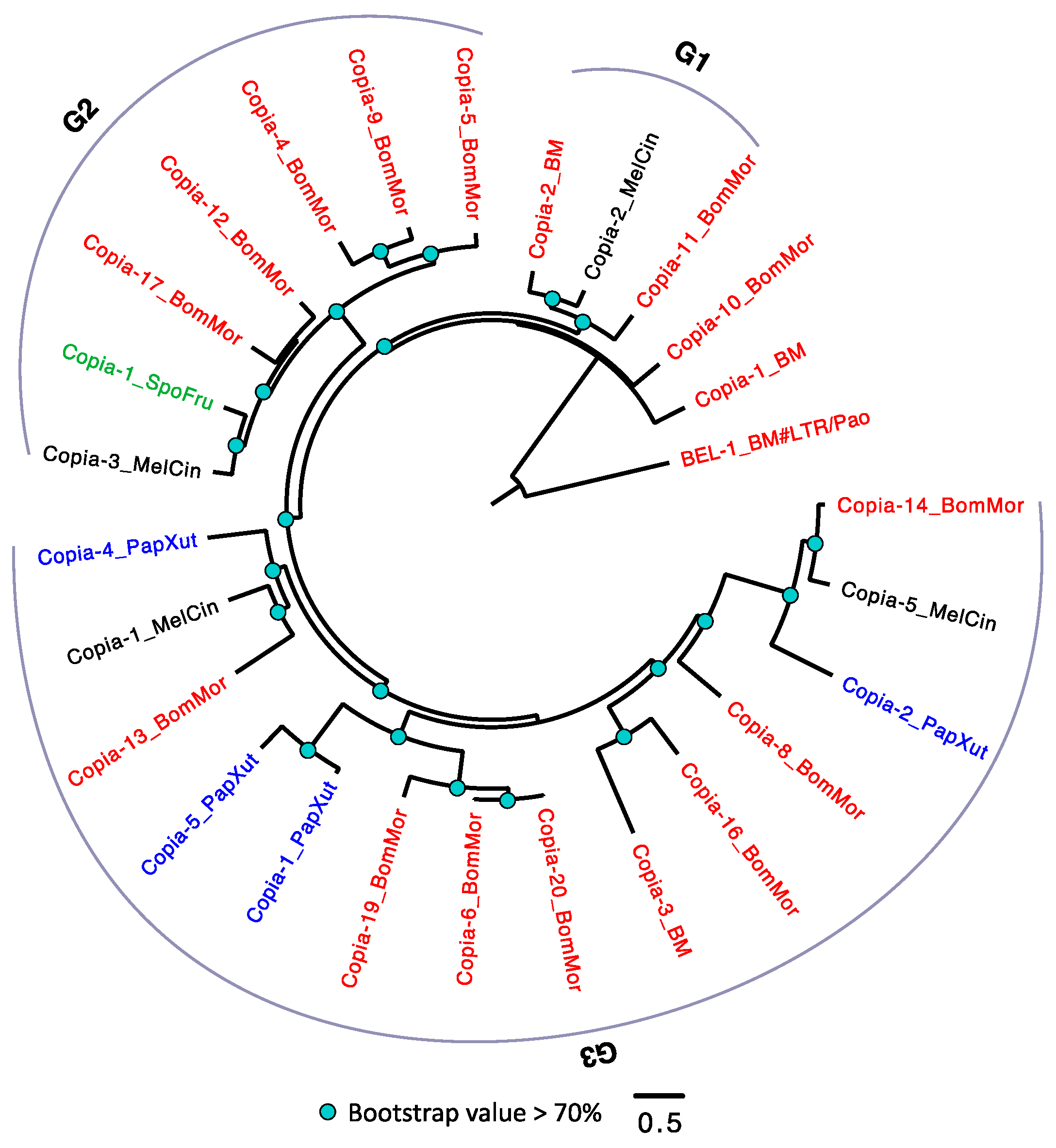Genes 10 00338 g003