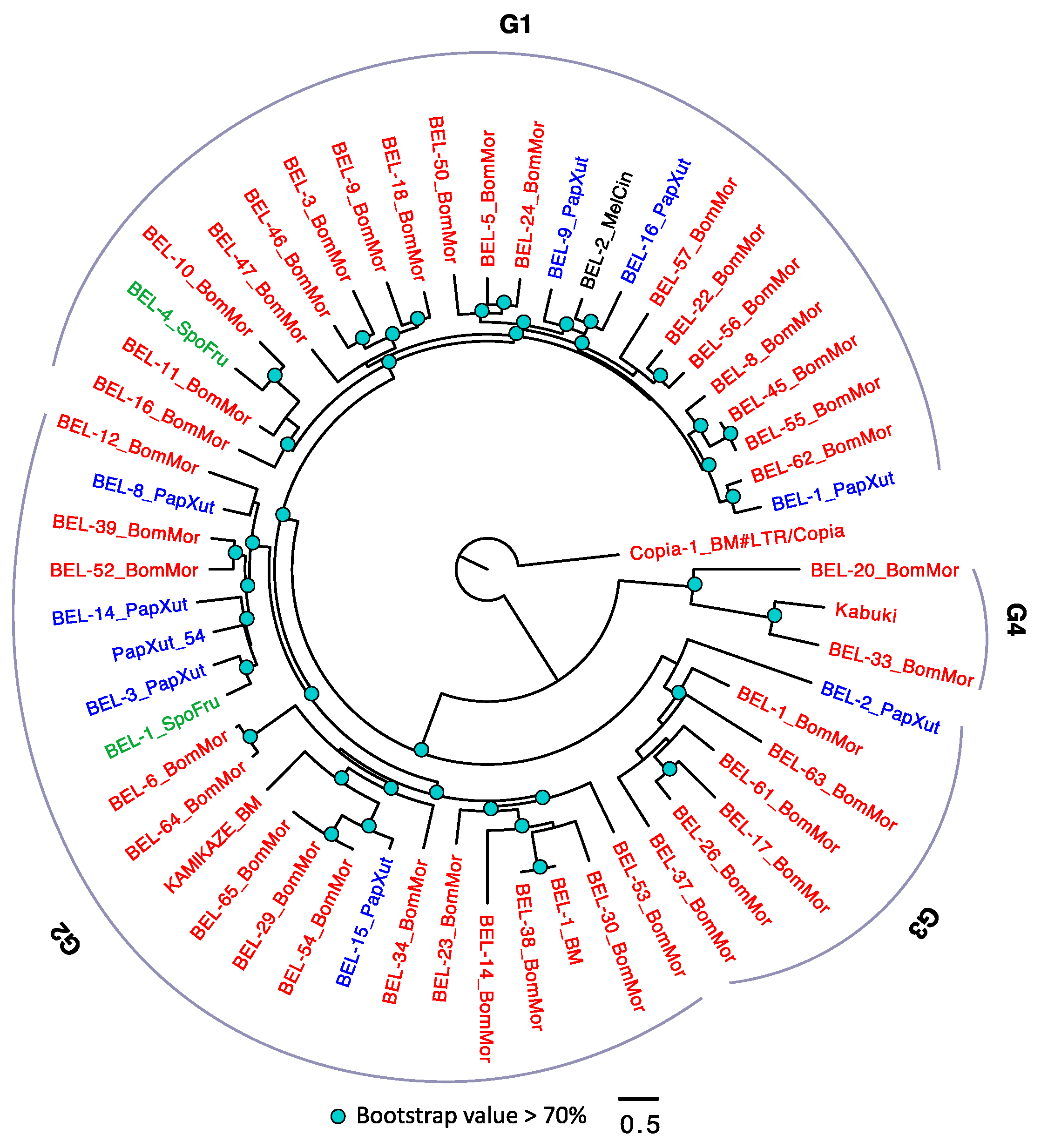 Genes 10 00338 g004