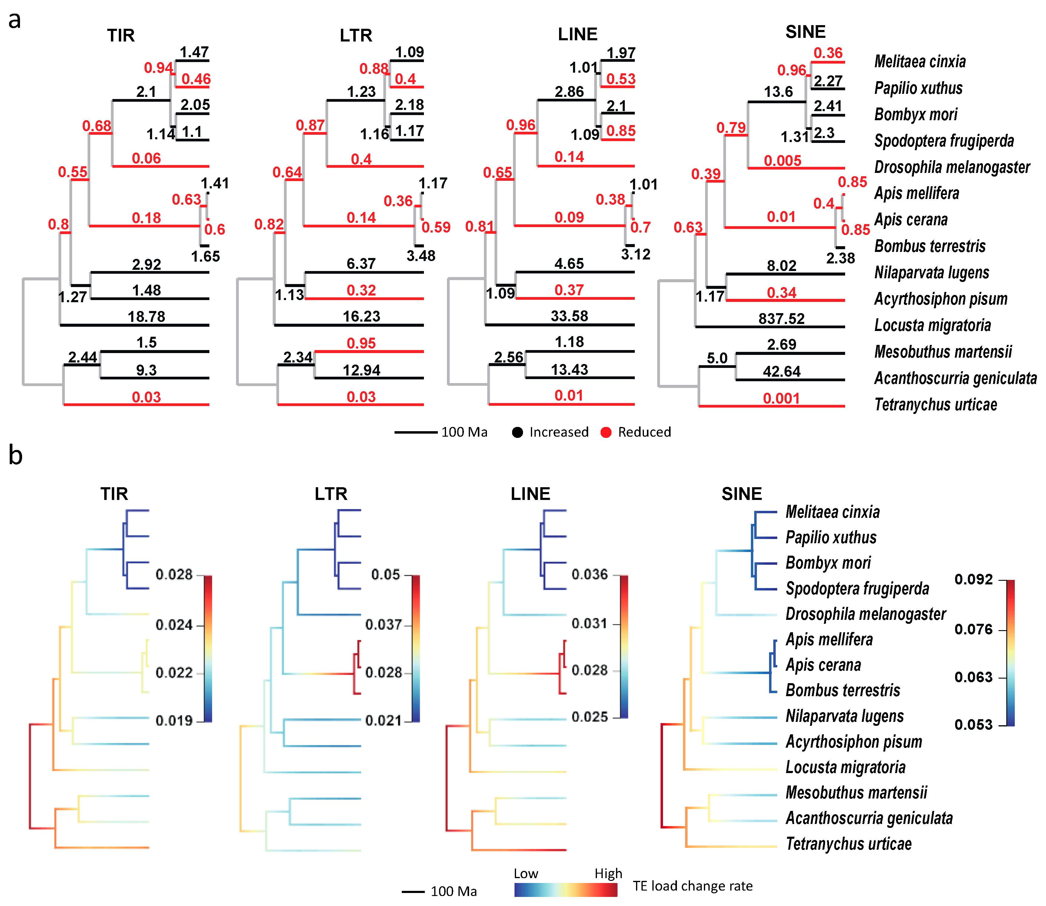 Genes 10 00338 g006