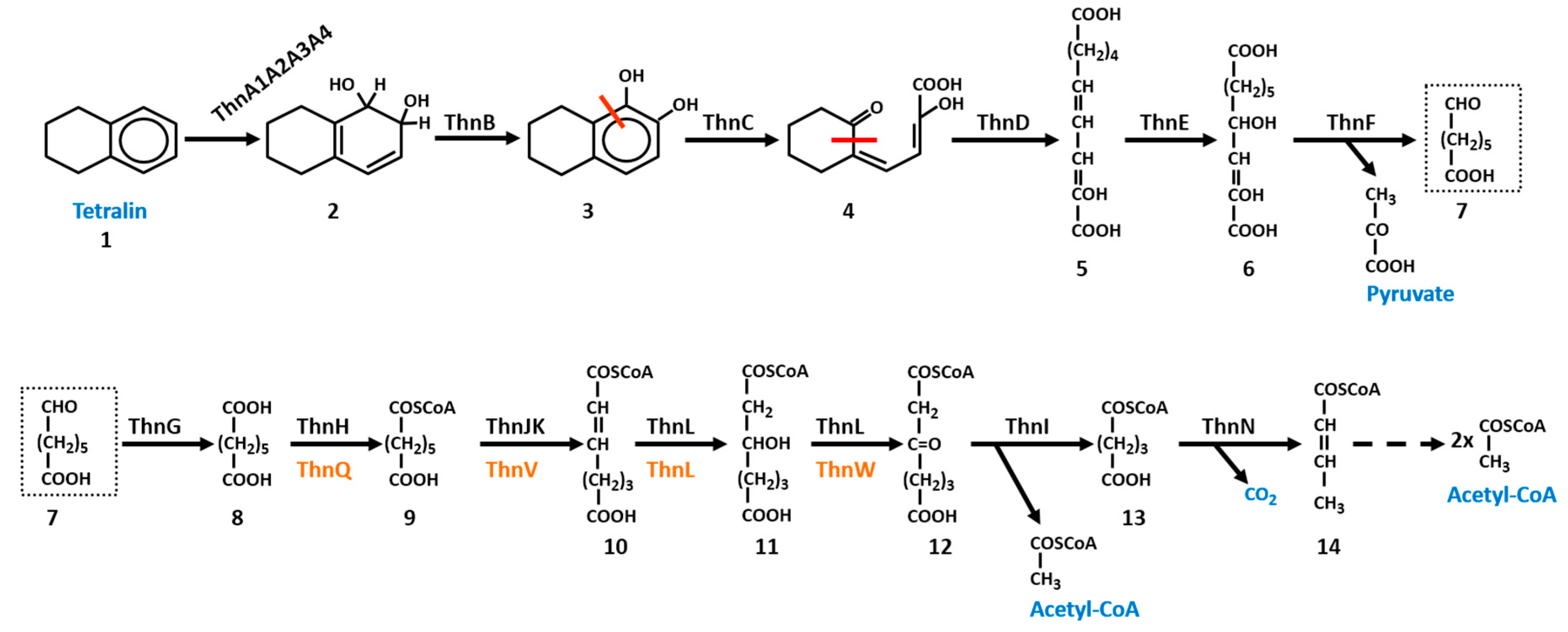 Genes 10 00339 sch001