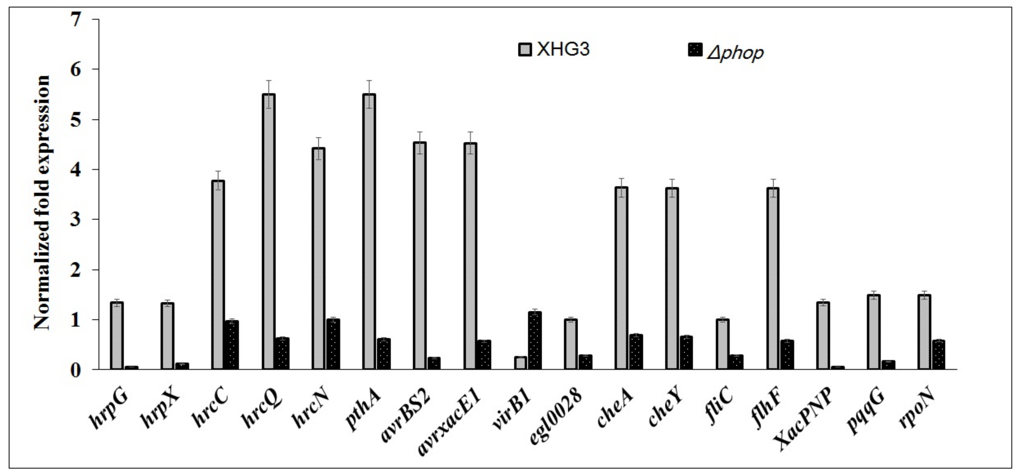 Genes 10 00340 g007 Genes 10 00340 g007