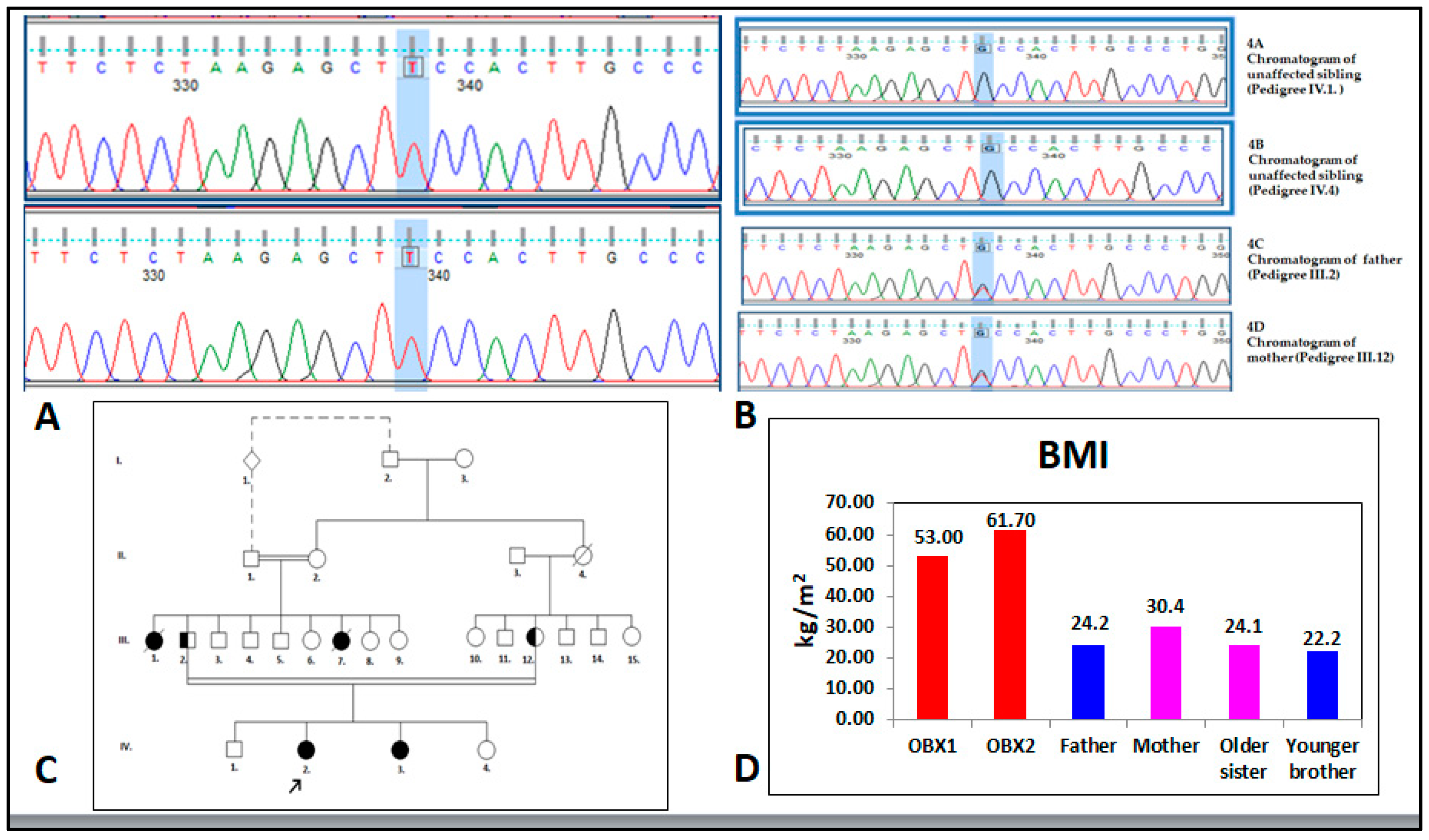 Genes 10 00342 g002