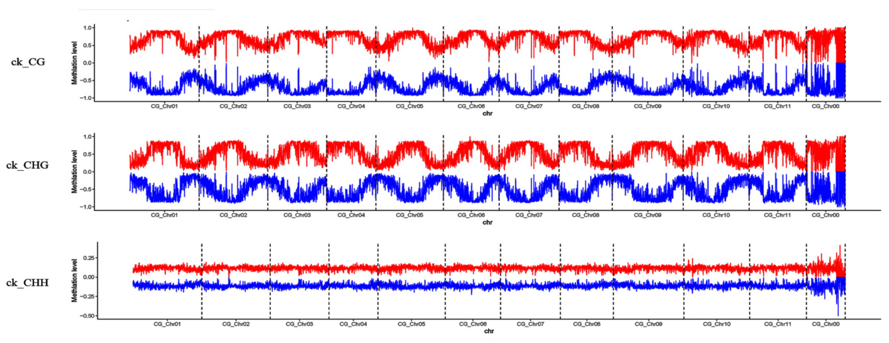 Genes 10 00344 g005a