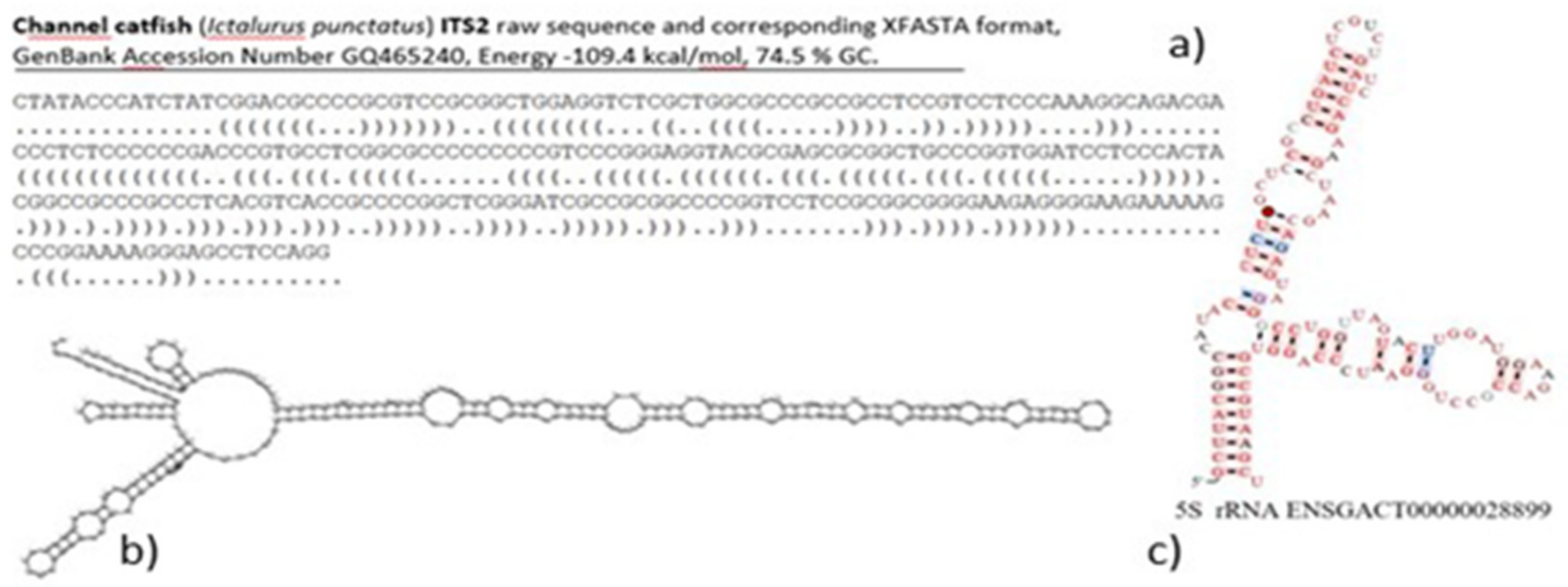 Genes 10 00345 g004