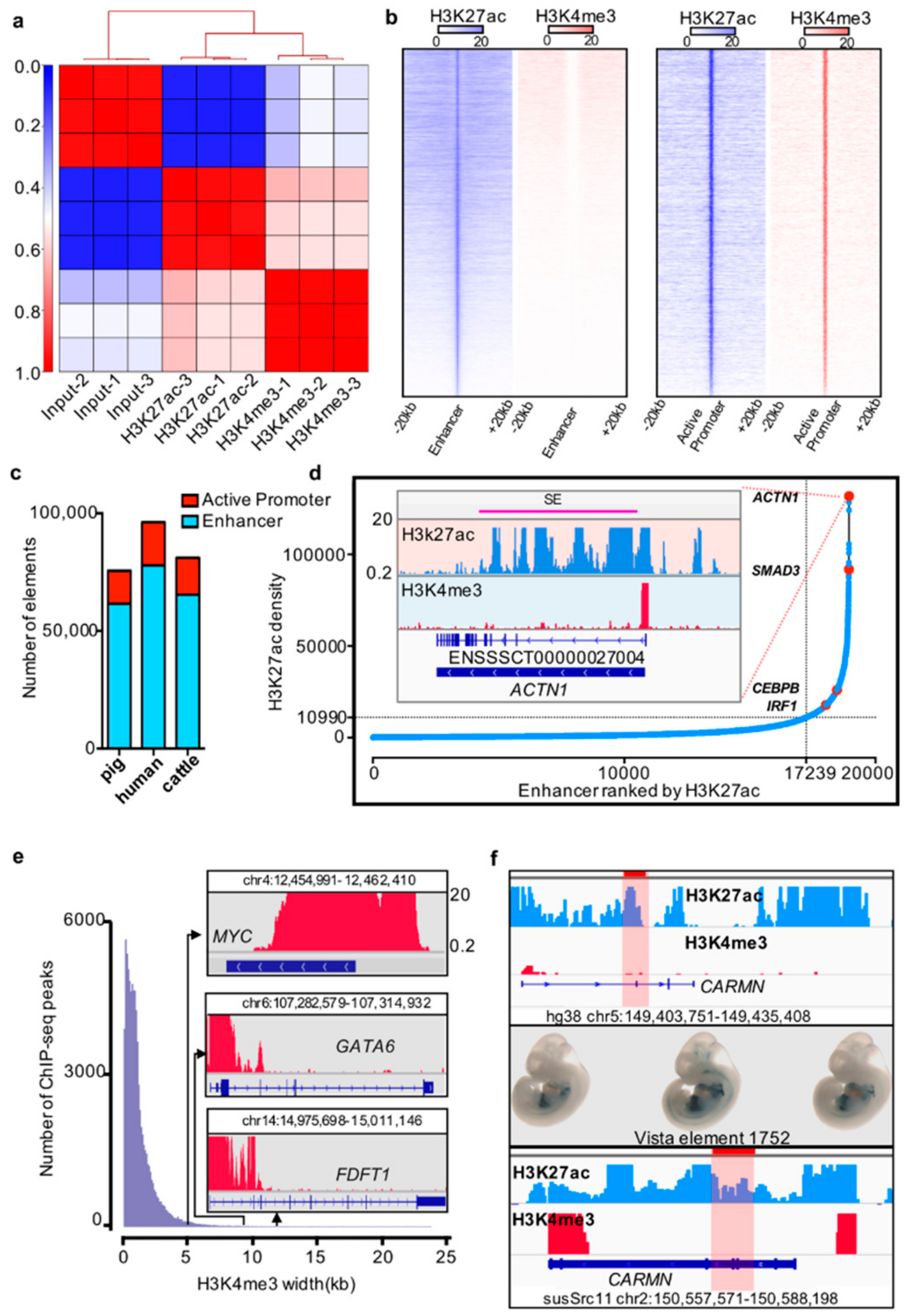 Genes 10 00348 g001 550