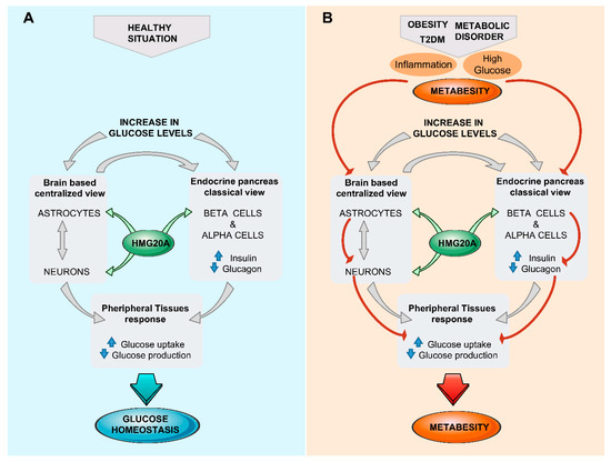 Genes 10 00350 g002 550