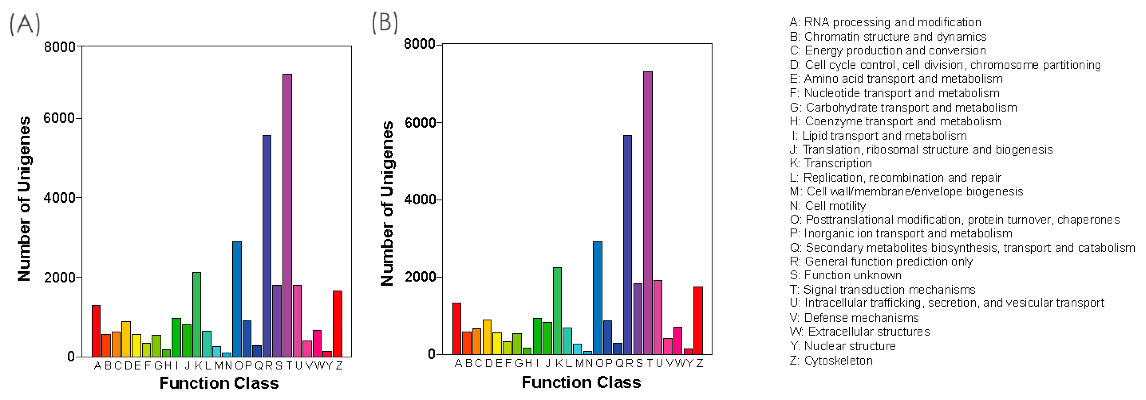 Genes 10 00351 g004