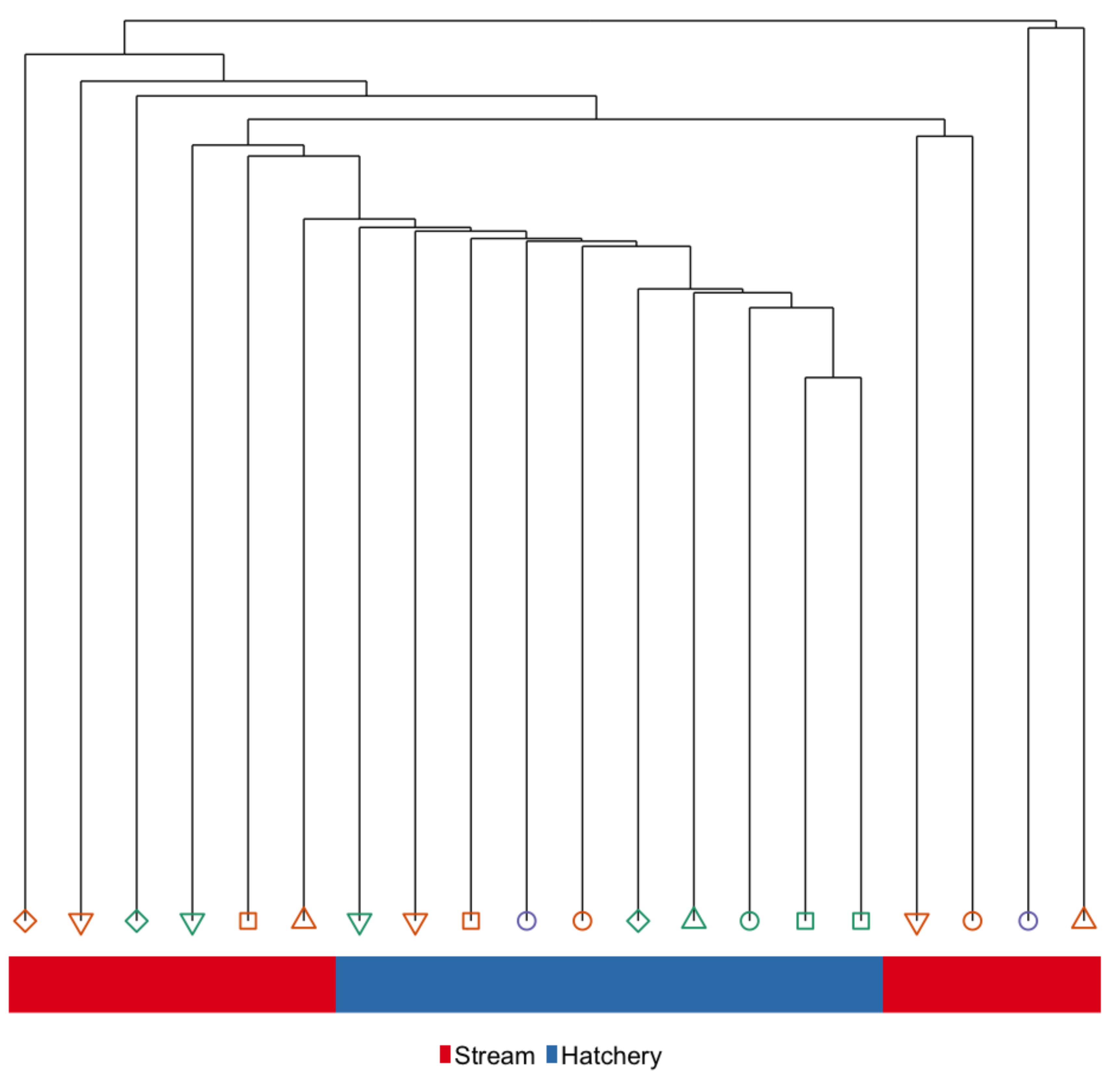 Genes 10 00356 g003