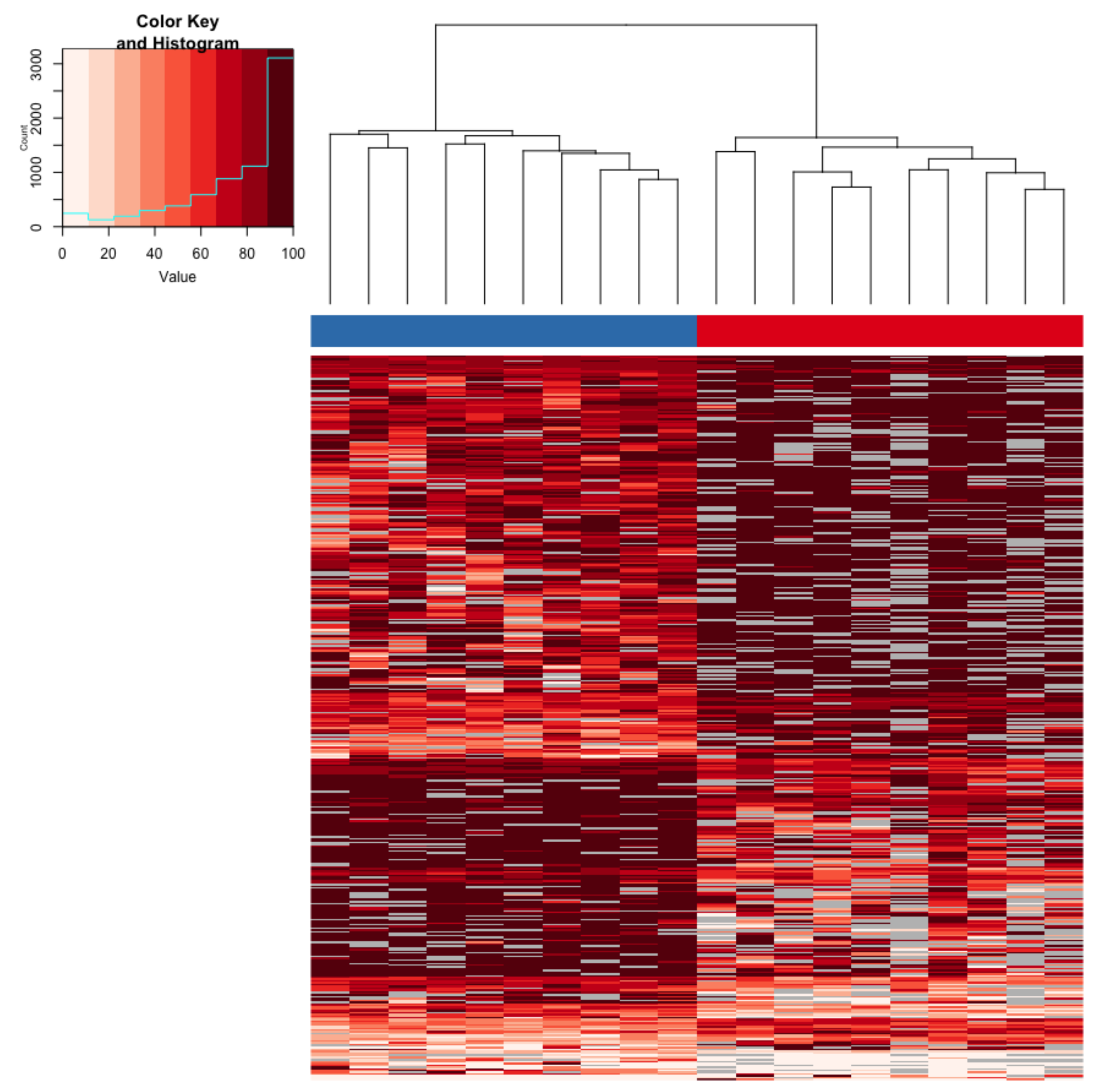 Genes 10 00356 g004