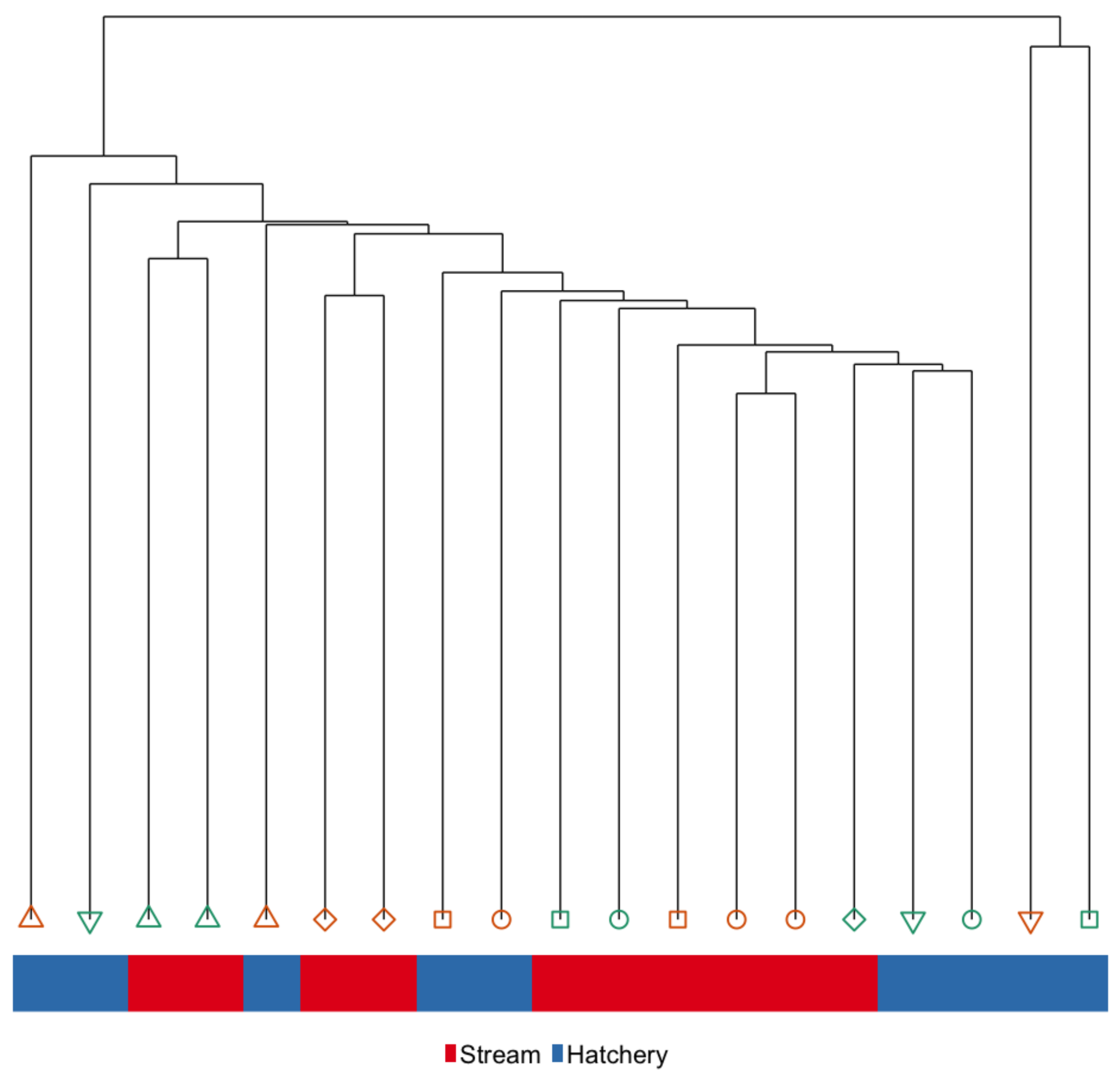 Genes 10 00356 g005