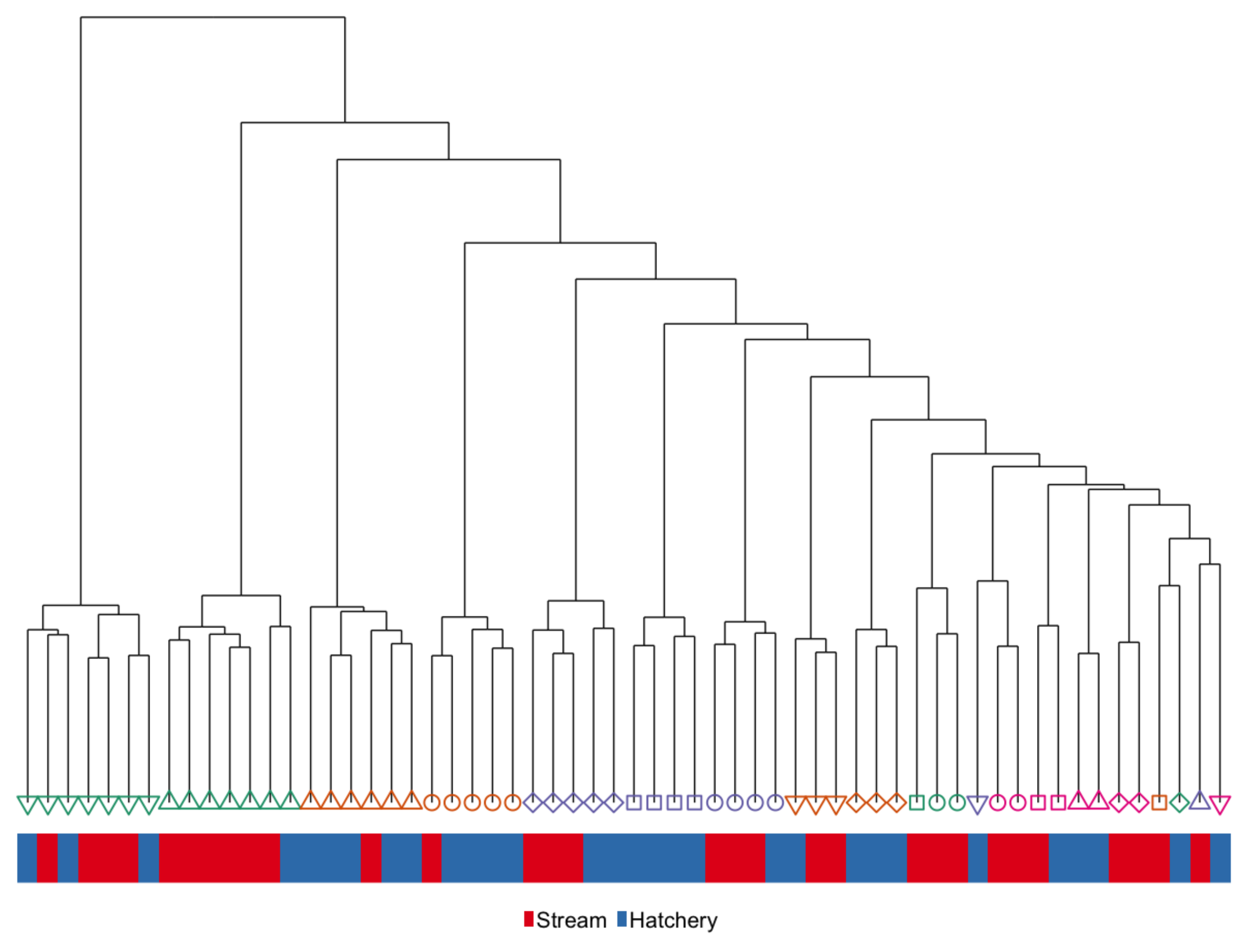 Genes 10 00356 g008