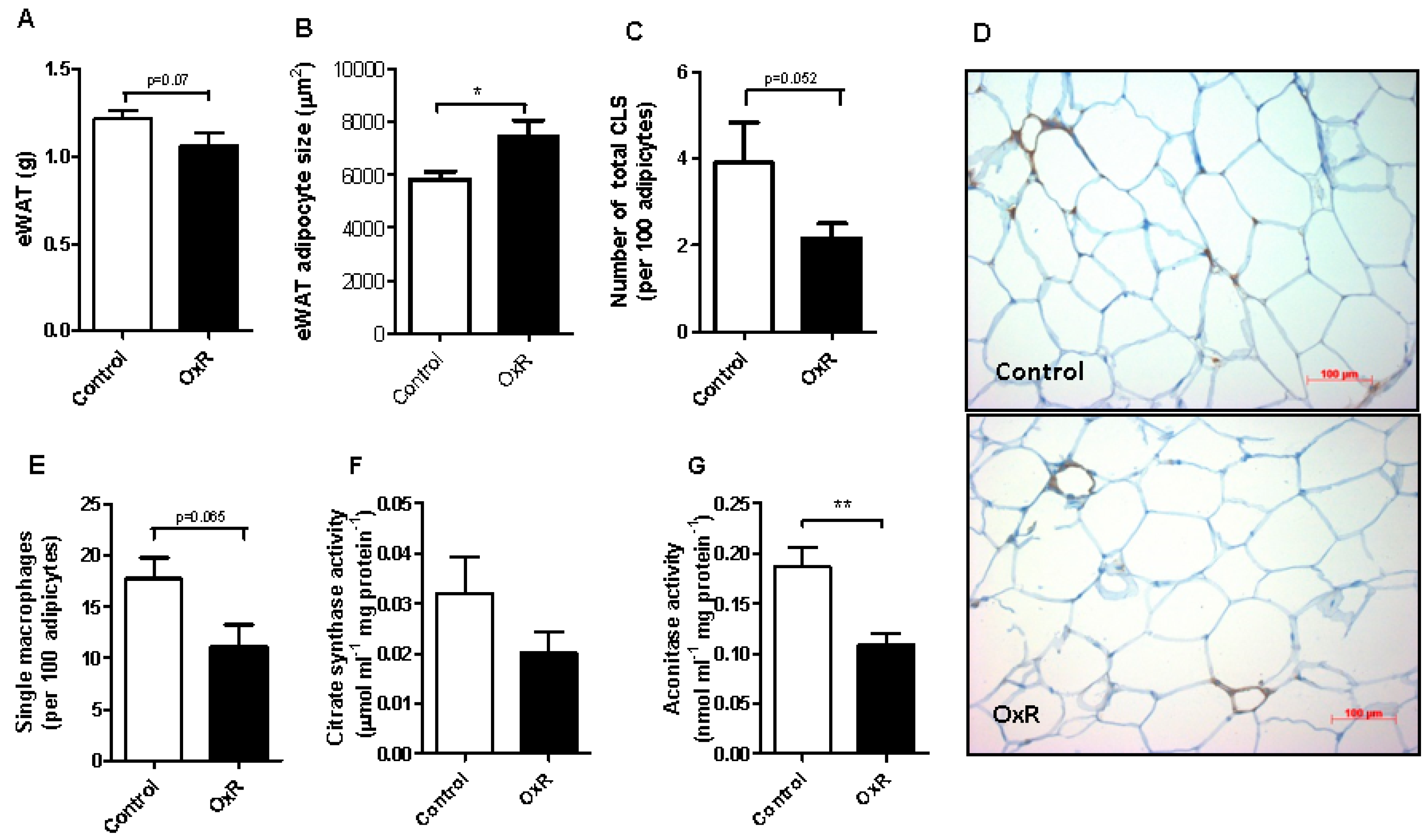 Genes 10 00359 g003