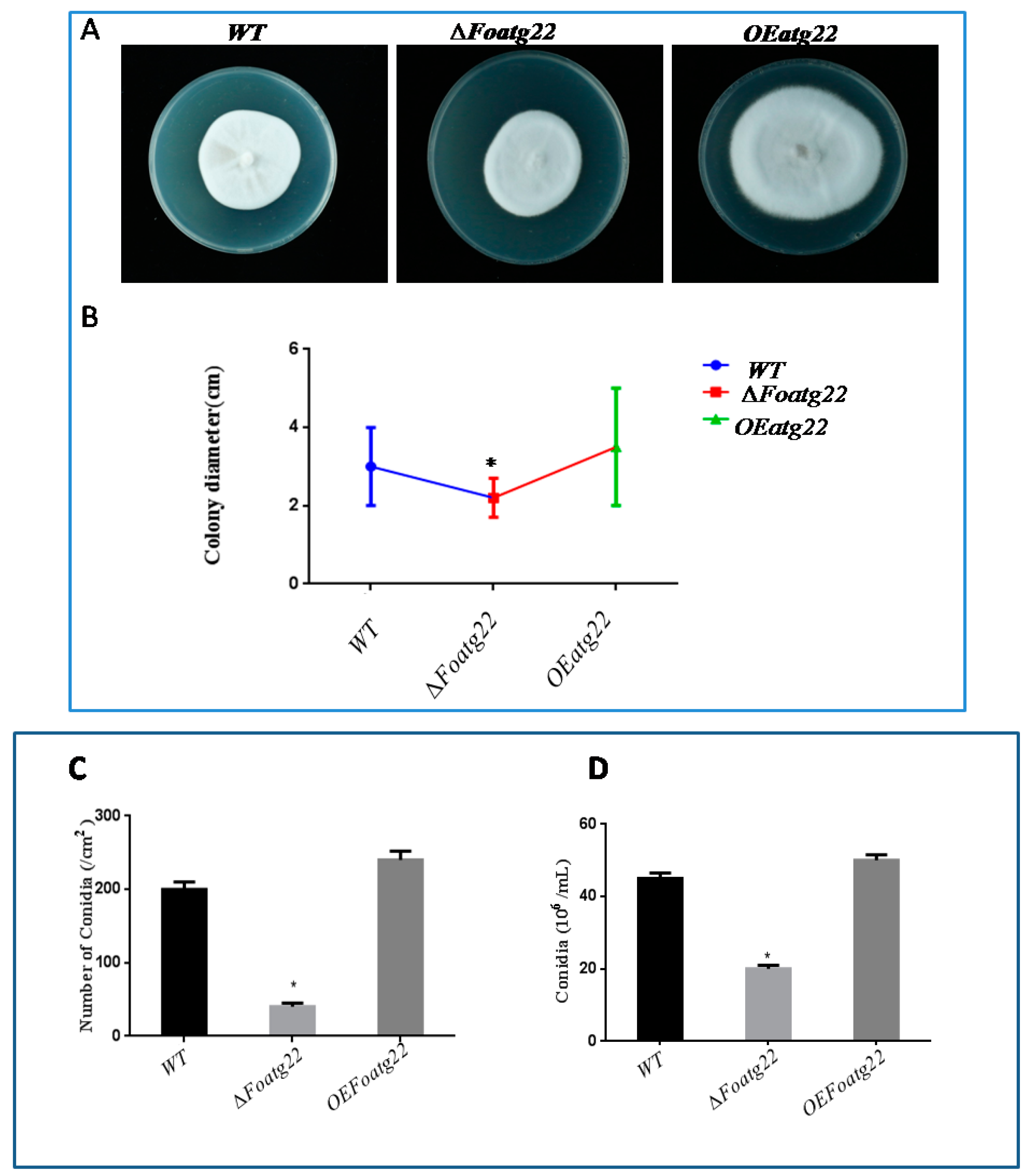 Genes 10 00365 g003