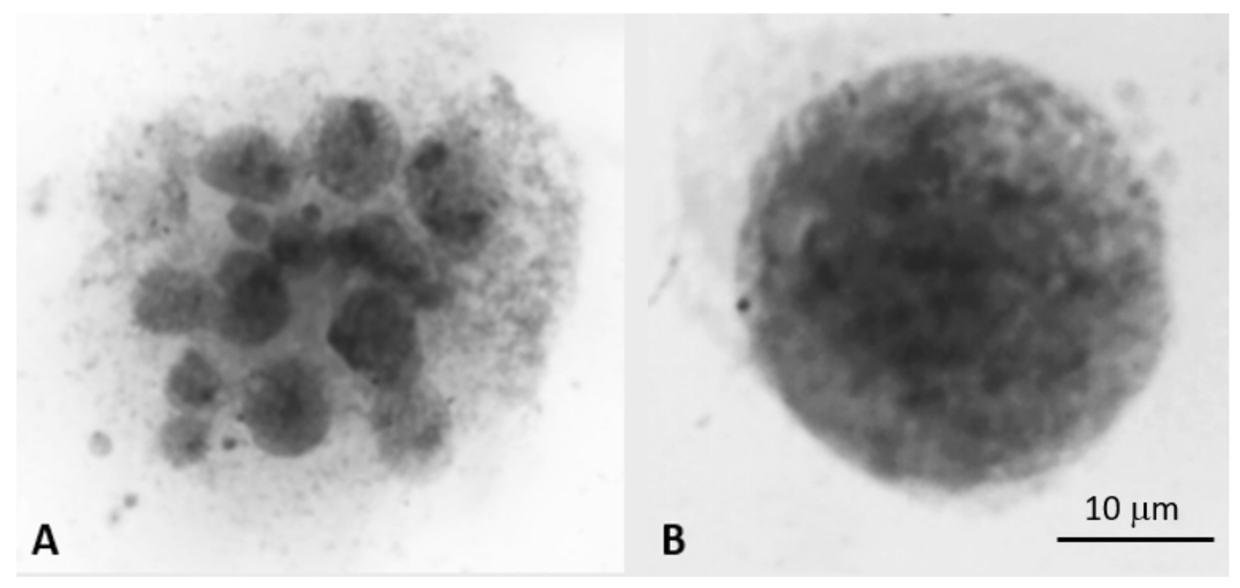 Genes 10 00366 g001 Genes 10 00366 g001