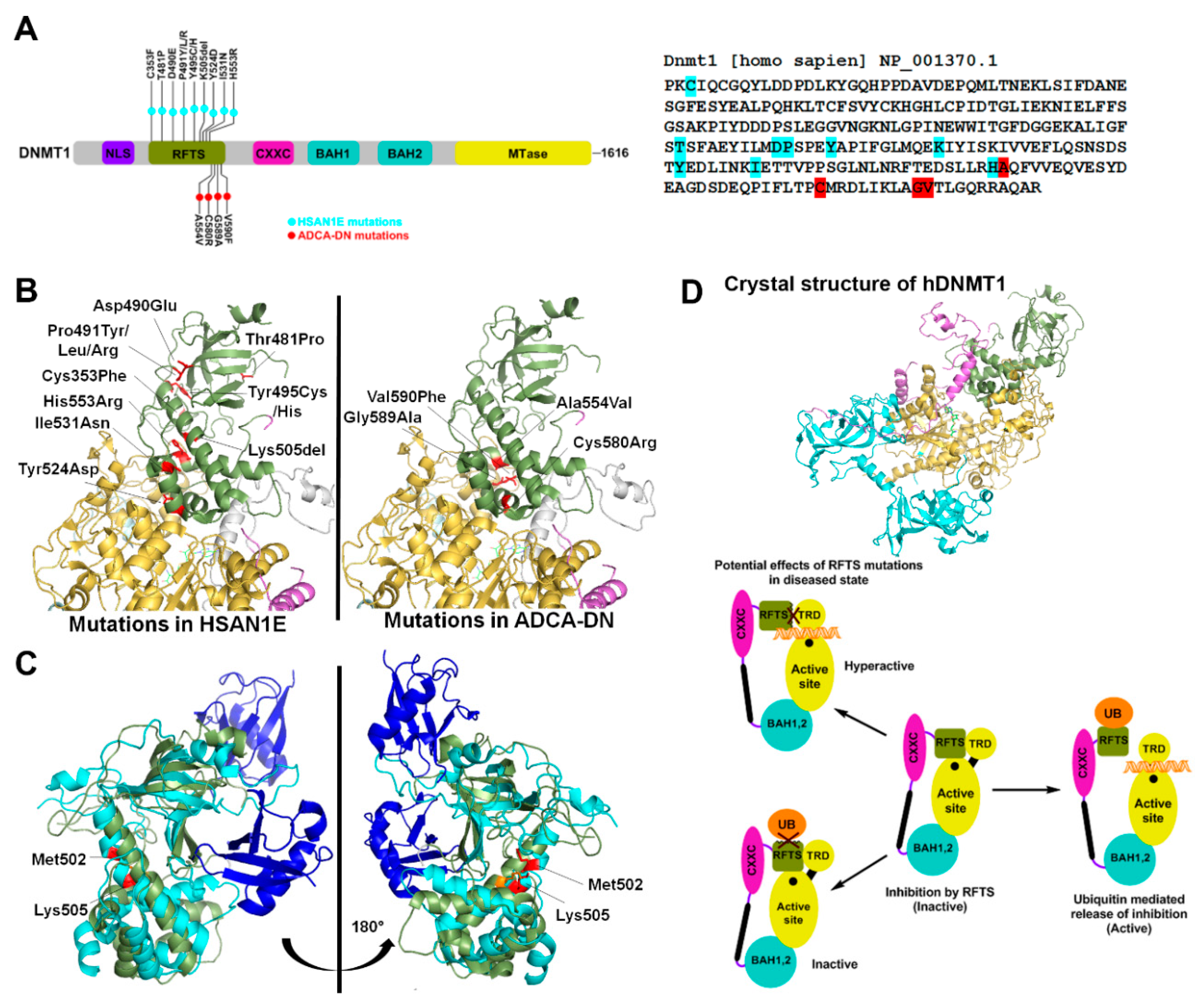 Genes 10 00369 g001 Genes 10 00369 g001