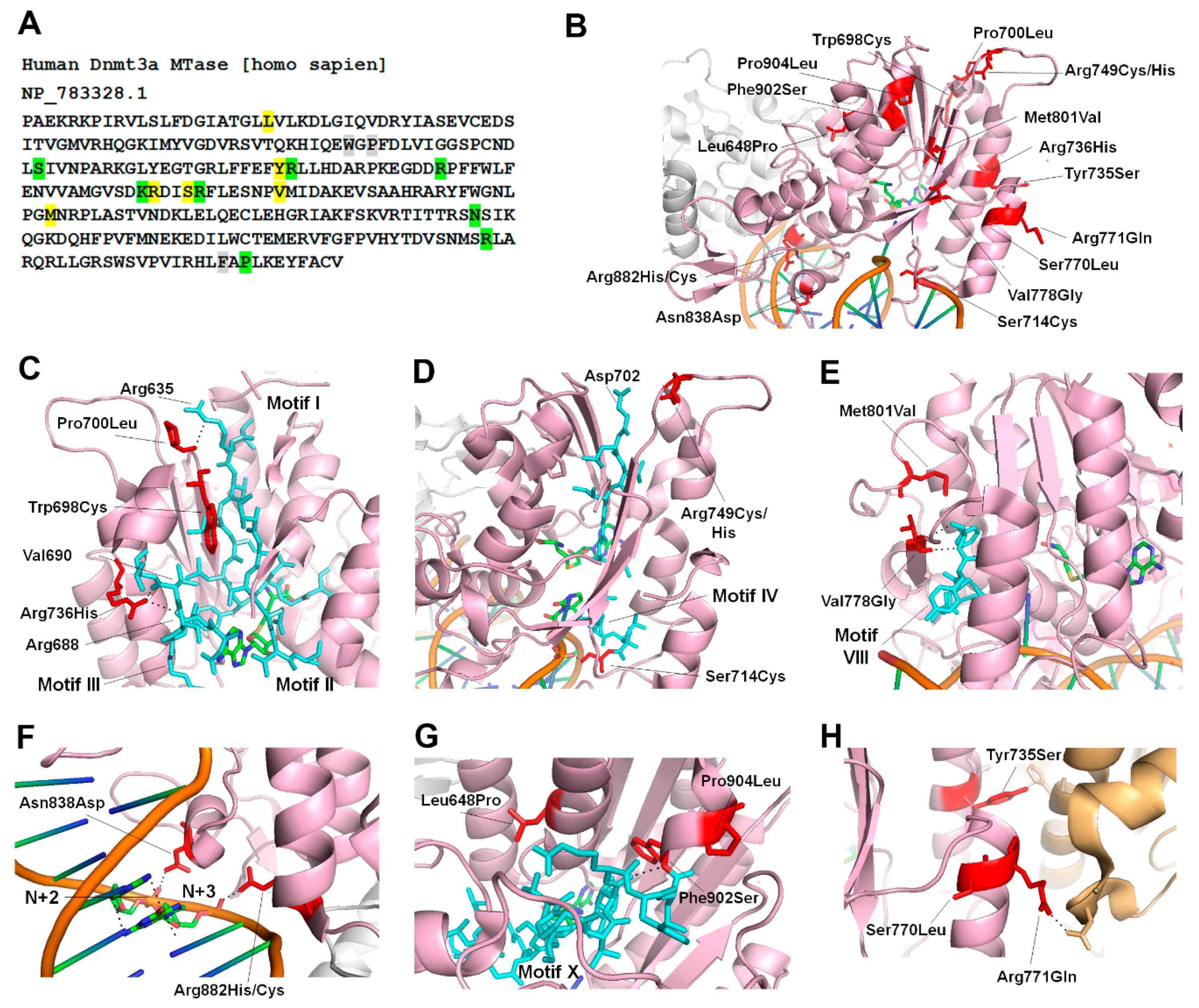 Genes 10 00369 g003 Genes 10 00369 g003