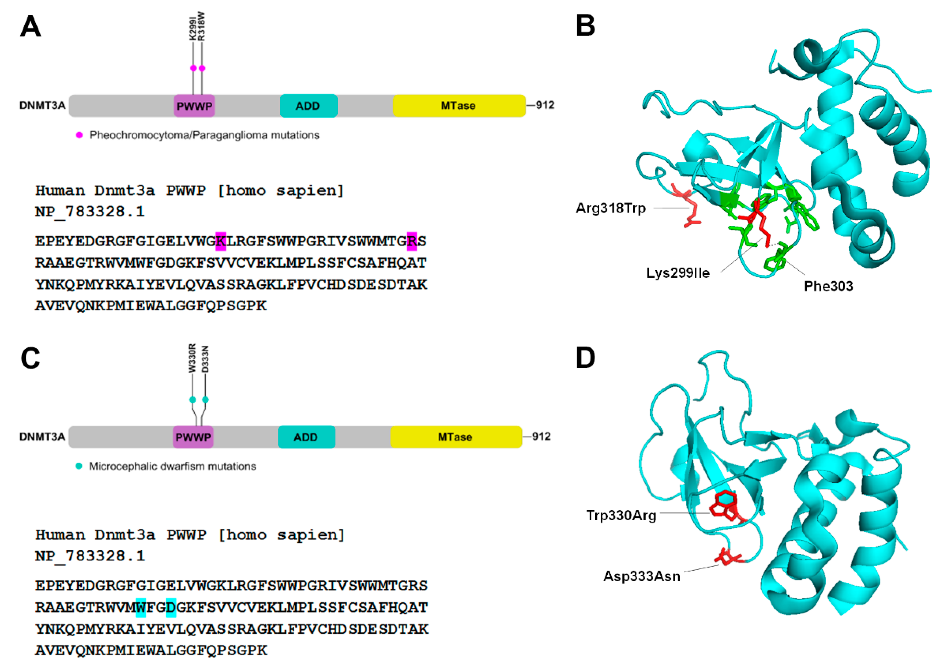 Genes 10 00369 g004 Genes 10 00369 g004