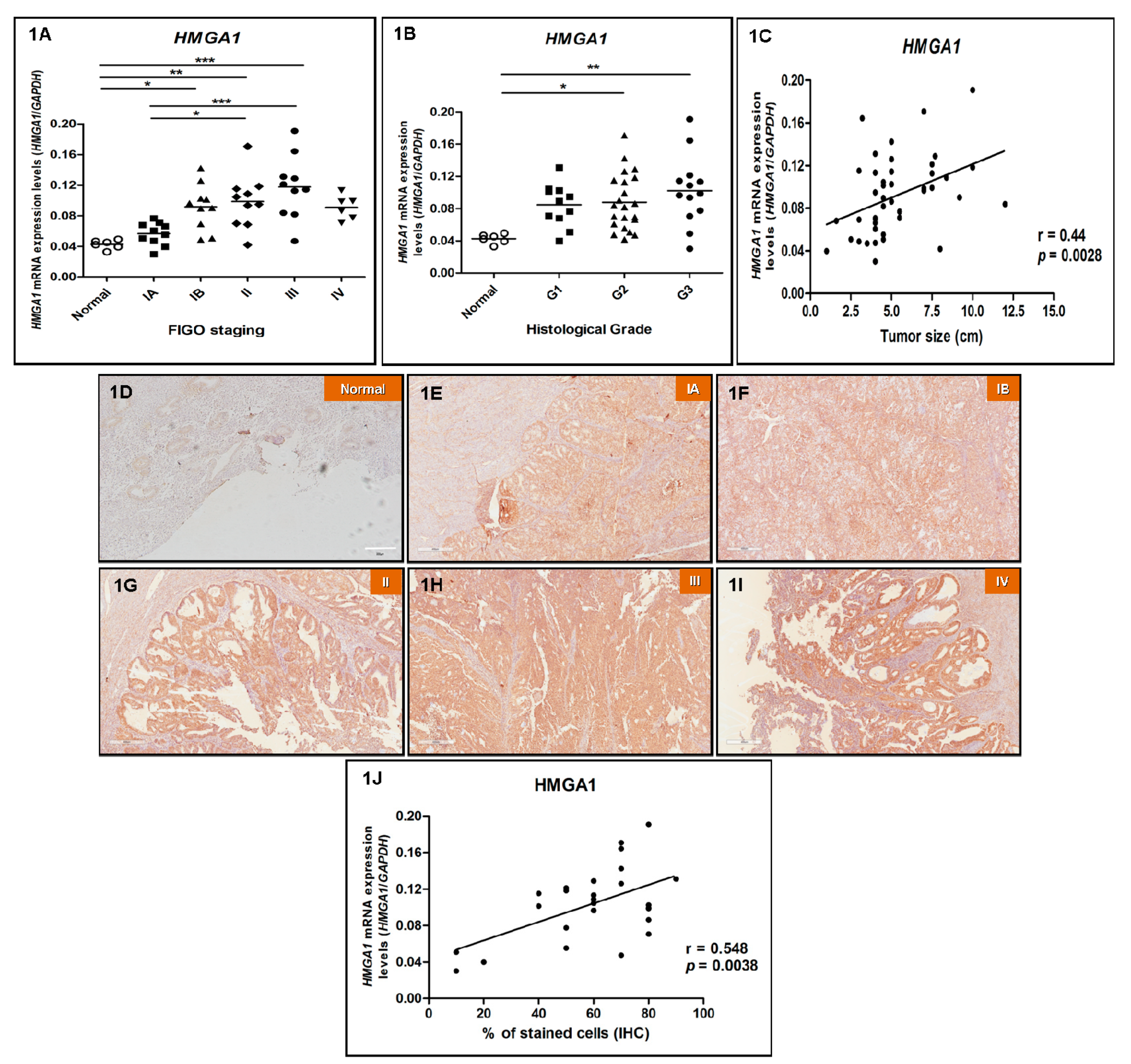 Genes 10 00372 g001 Genes 10 00372 g001