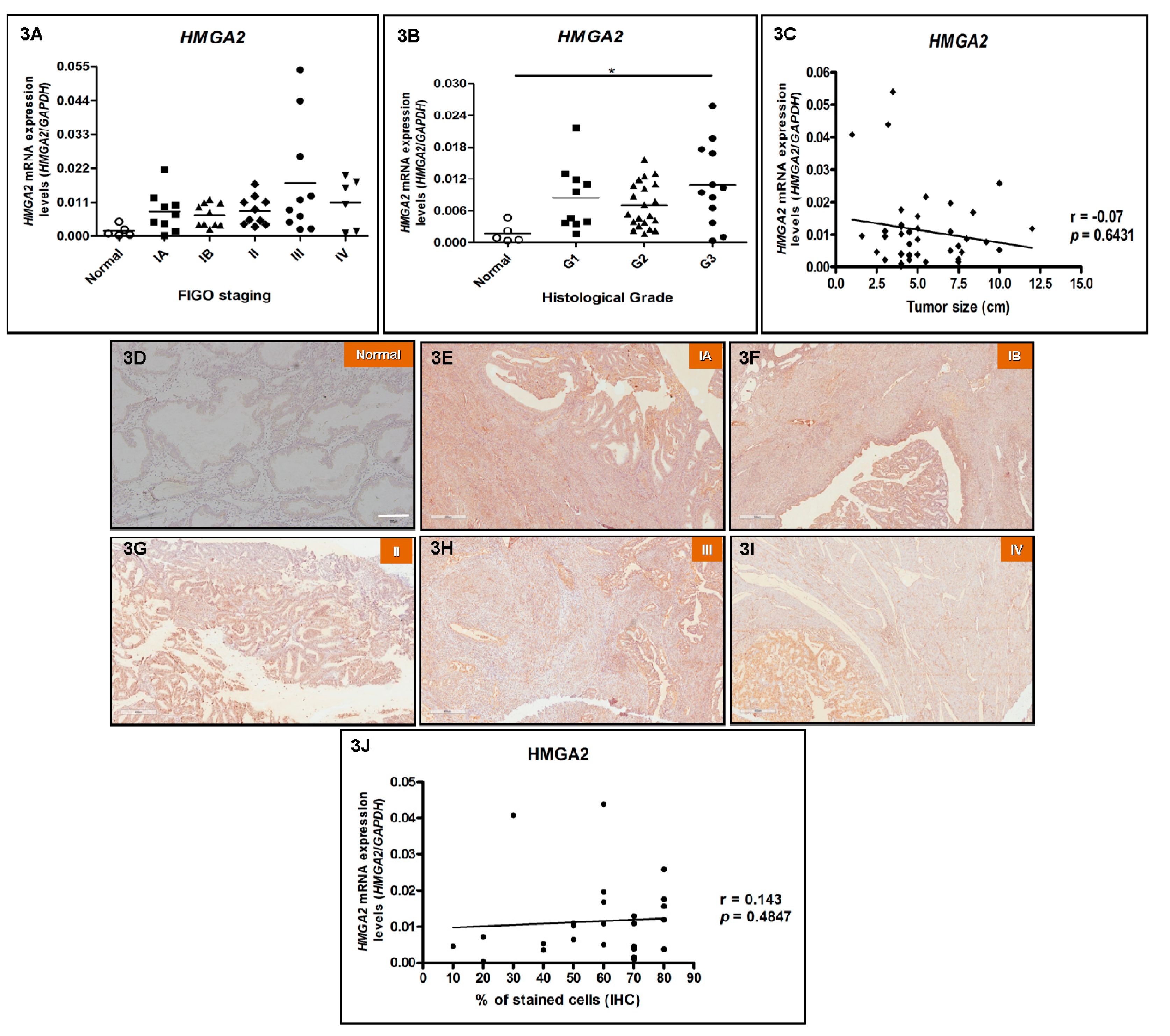 Genes 10 00372 g003 Genes 10 00372 g003