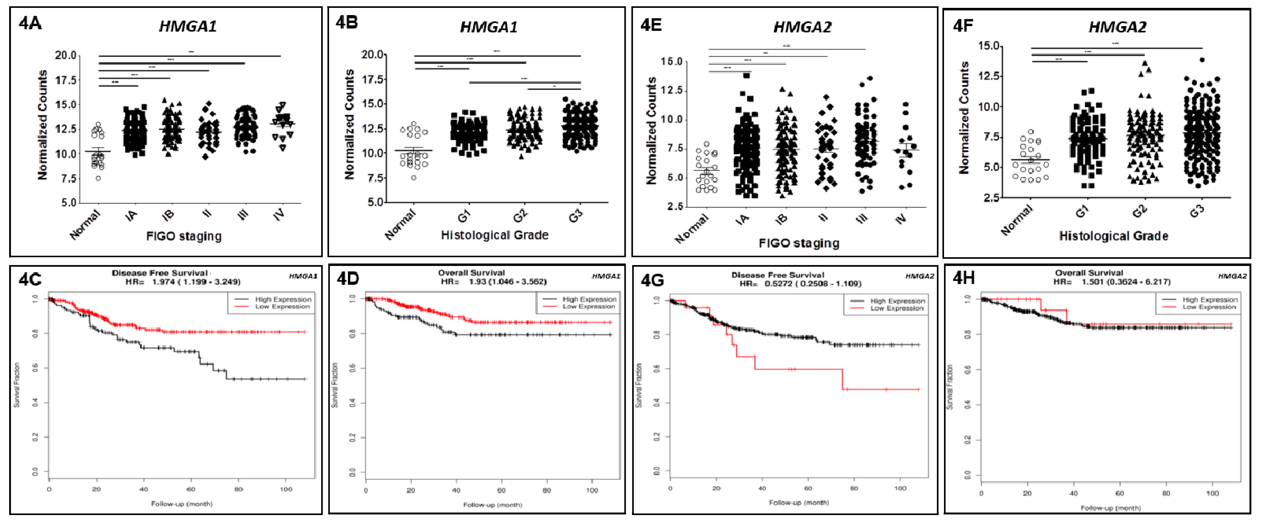 Genes 10 00372 g004 Genes 10 00372 g004