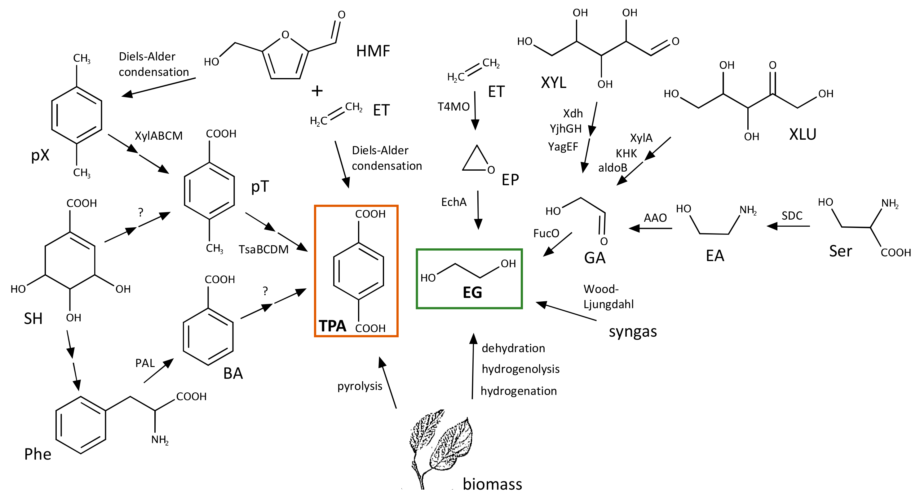 Genes 10 00373 g005