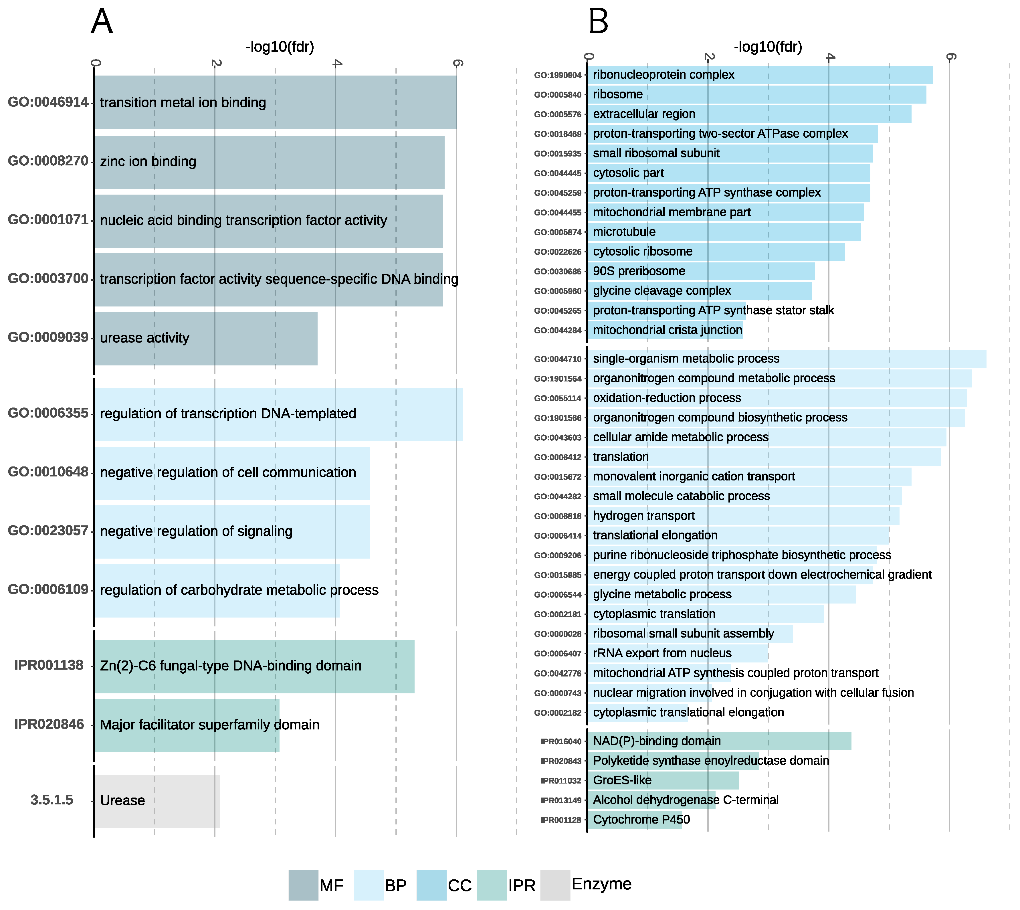 Genes 10 00381 g005 Genes 10 00381 g005
