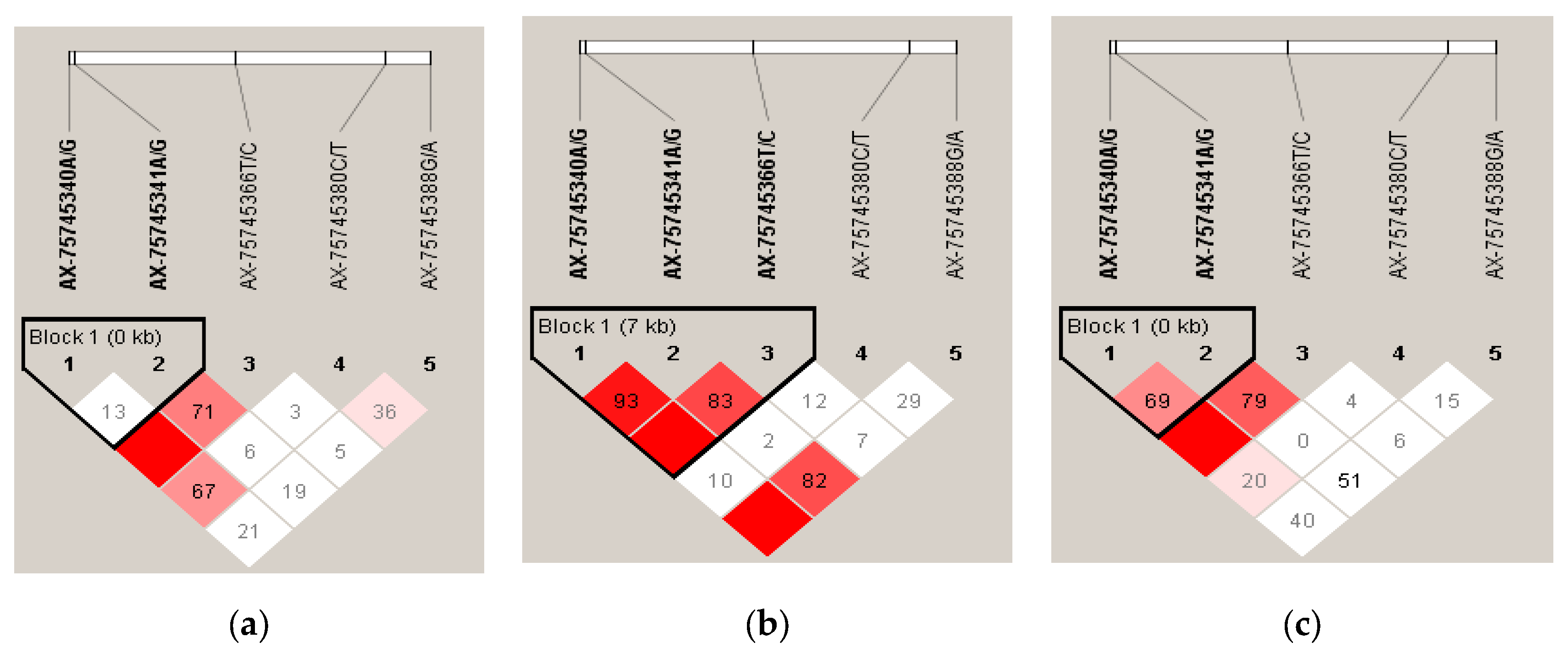 Genes 10 00384 g004 Genes 10 00384 g004