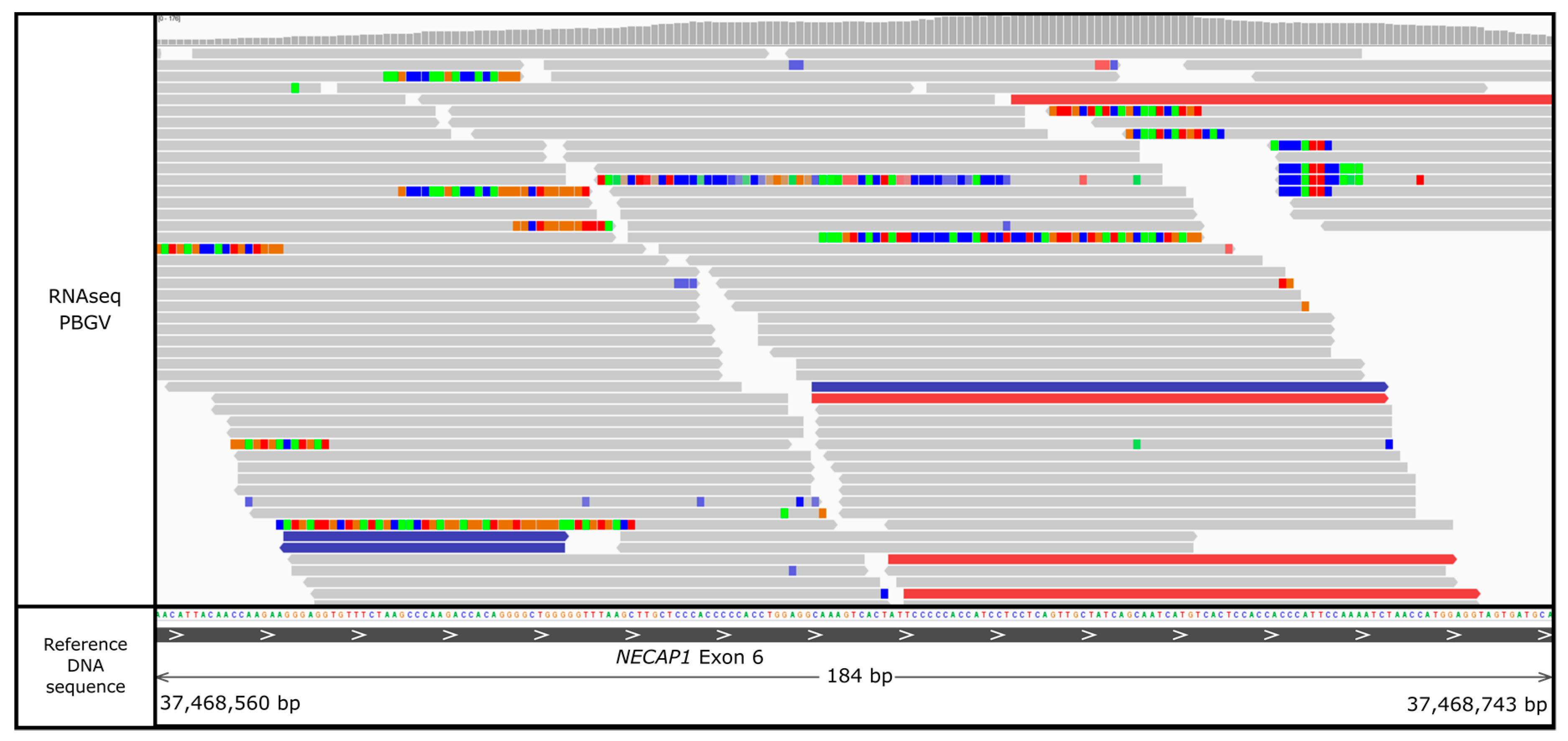 Genes 10 00385 g004