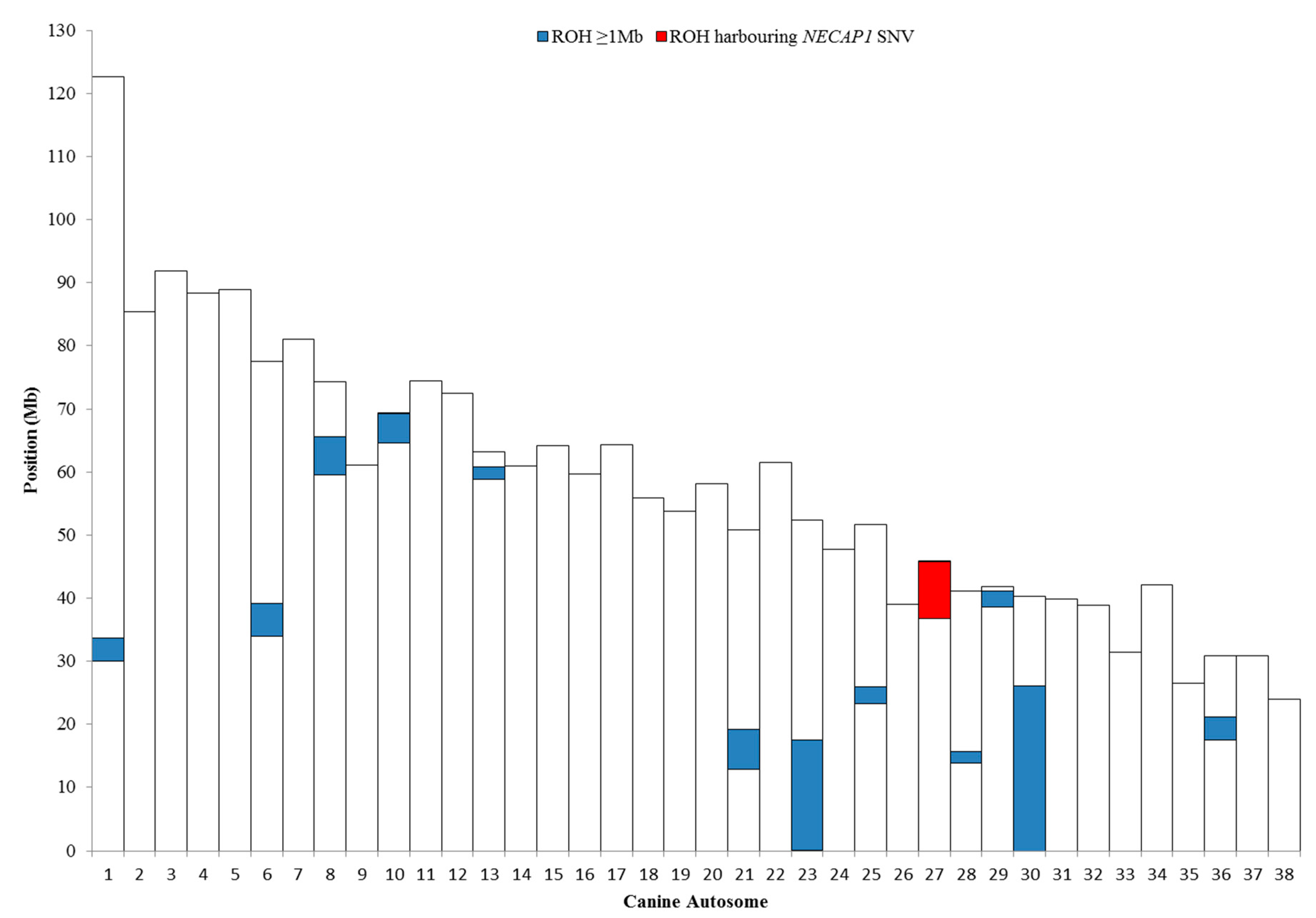 Genes 10 00385 g005