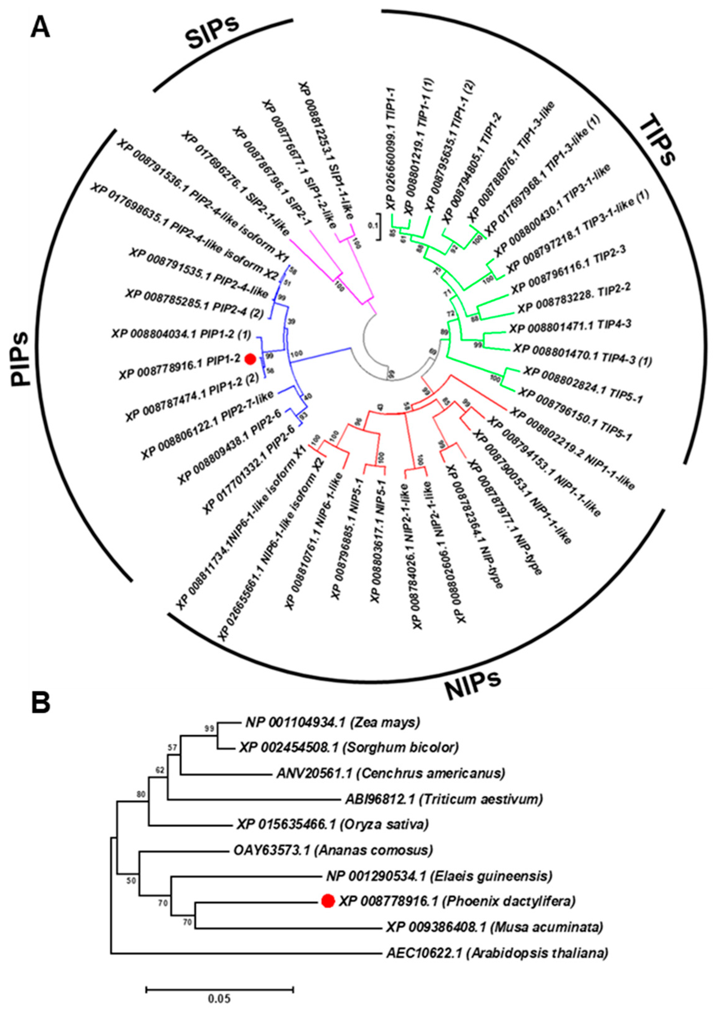 Genes 10 00390 g001 Genes 10 00390 g001