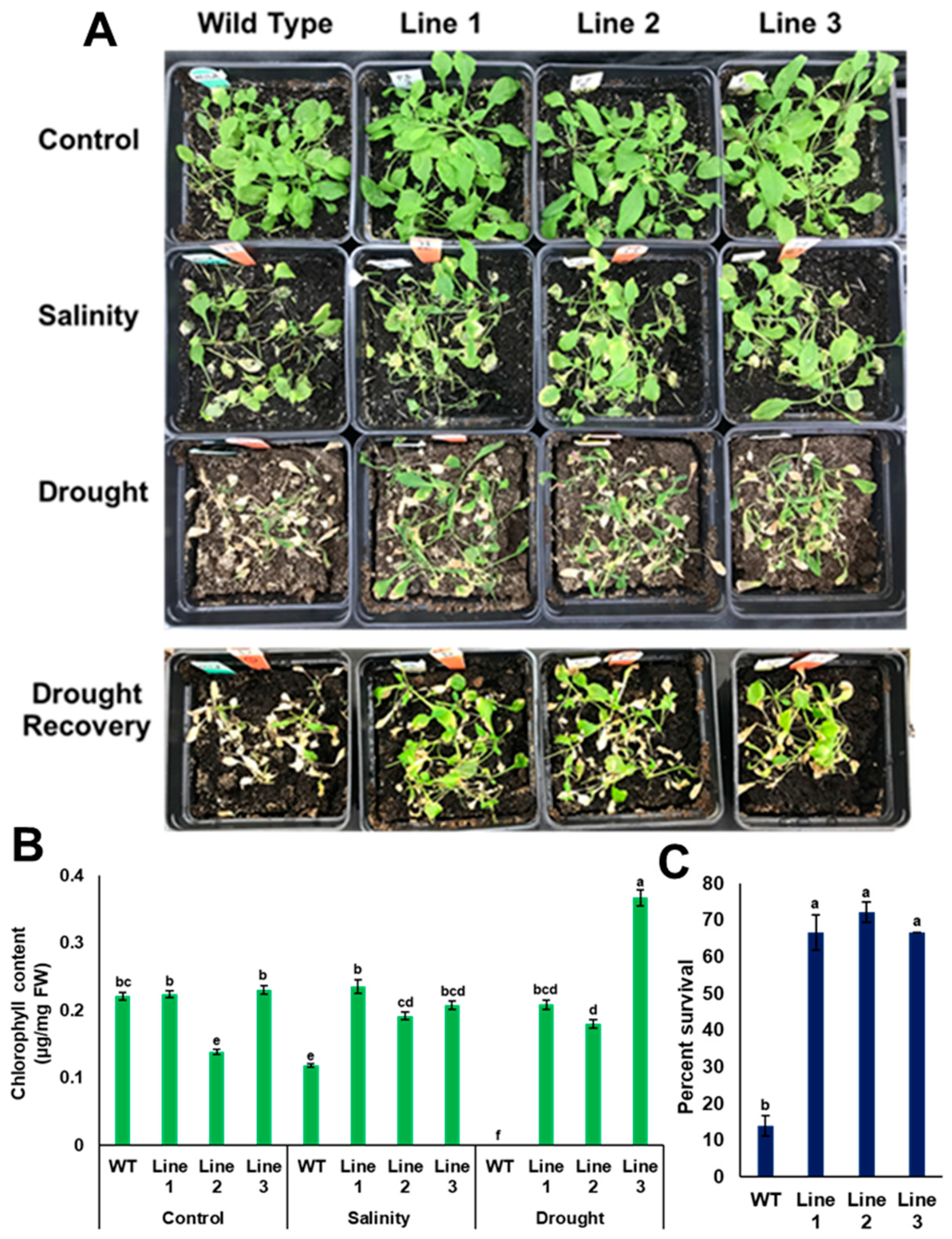 Genes 10 00390 g010 Genes 10 00390 g010