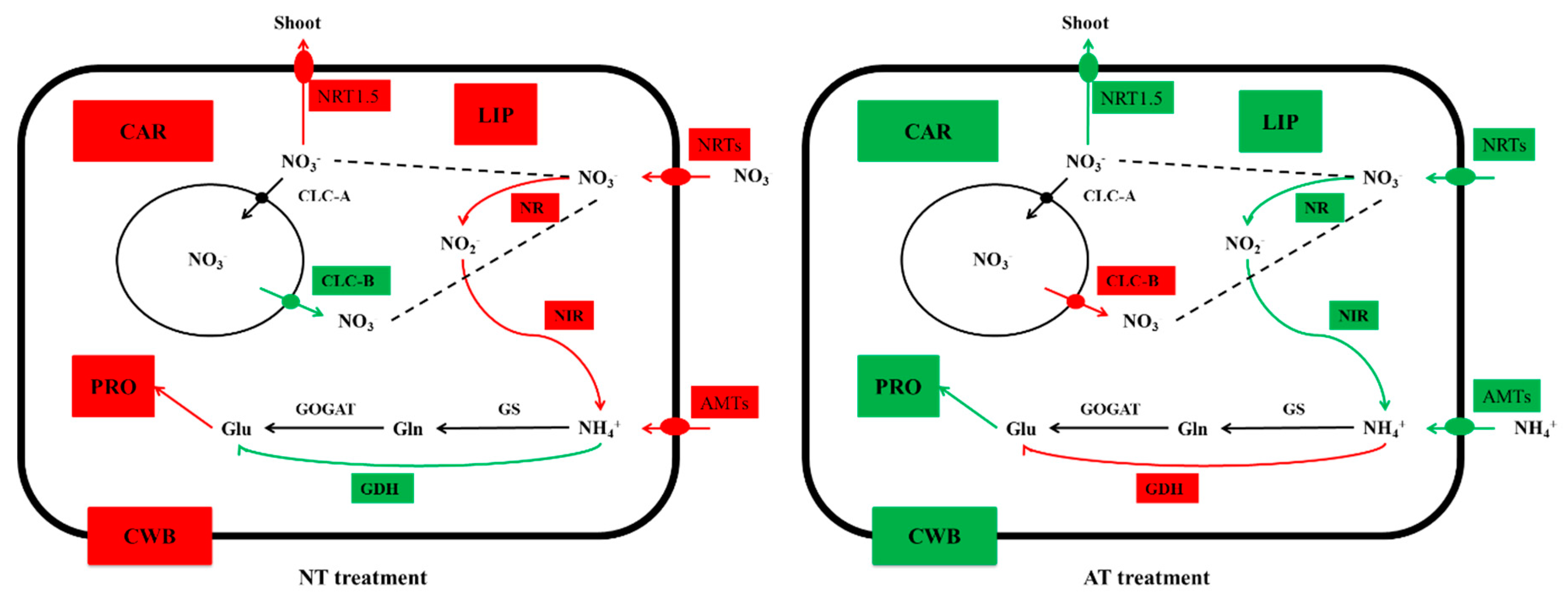 Genes 10 00391 g008 Genes 10 00391 g008