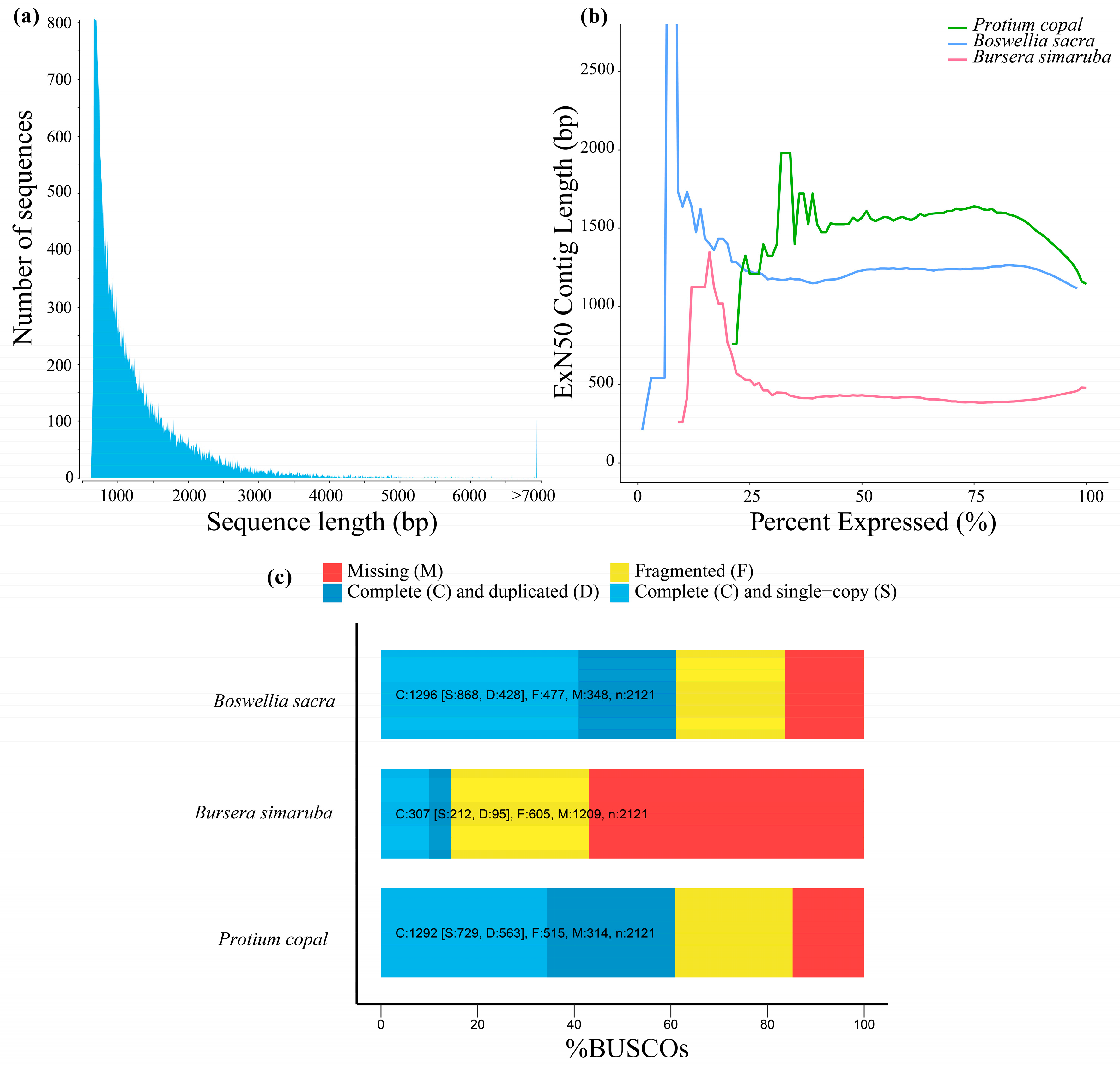 Genes Can Have Up To 80 Percent >> Genes Free Full Text Leaf Transcriptome Assembly Of Protium Genes Can Have Up To 80 Percent >> Genes Free Full Text Leaf Transcriptome Assembly Of Protium